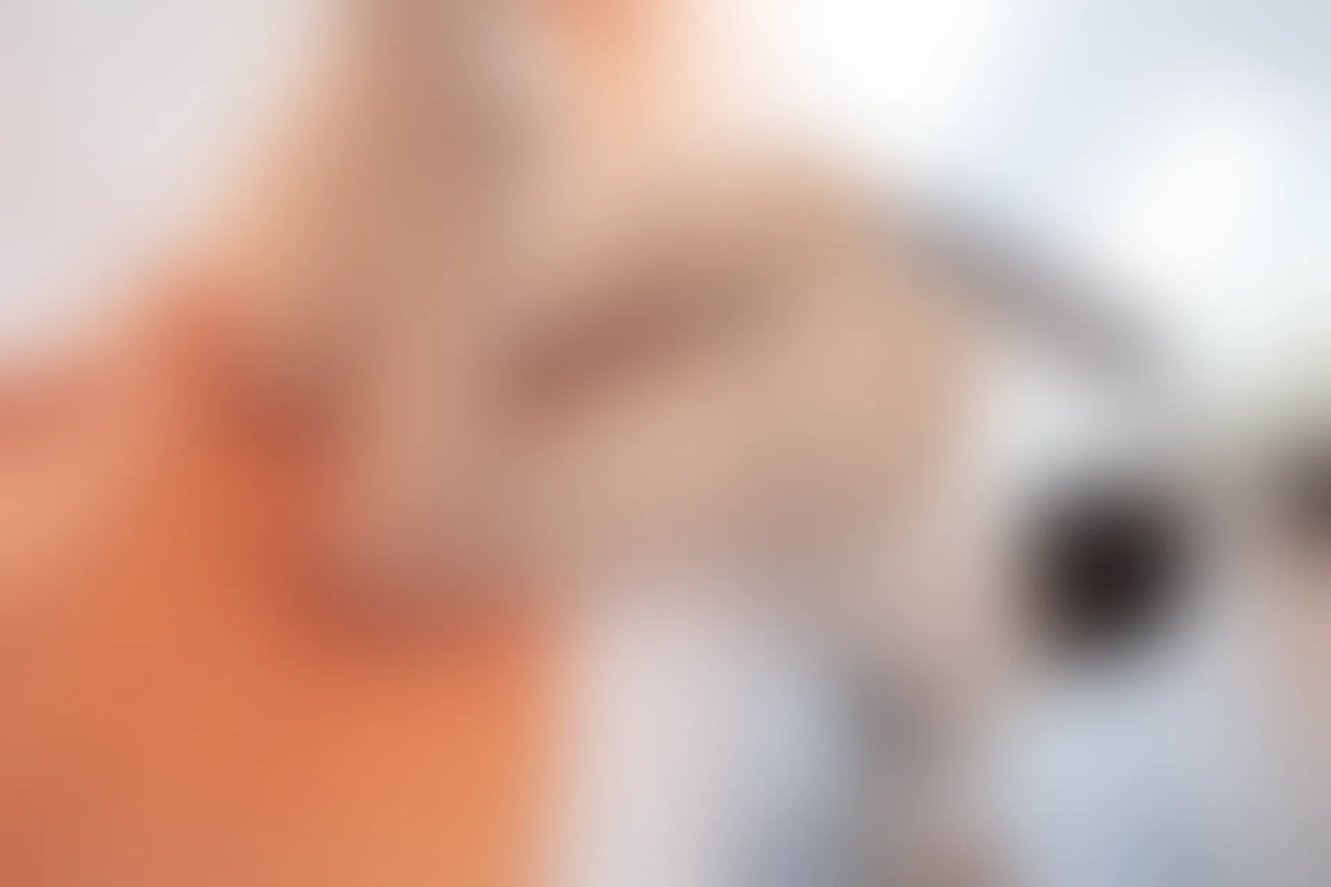XiuRen秀人网 2022.01.17 No.4474 芝芝Booty 御姐美腿[98+1P 799MB]