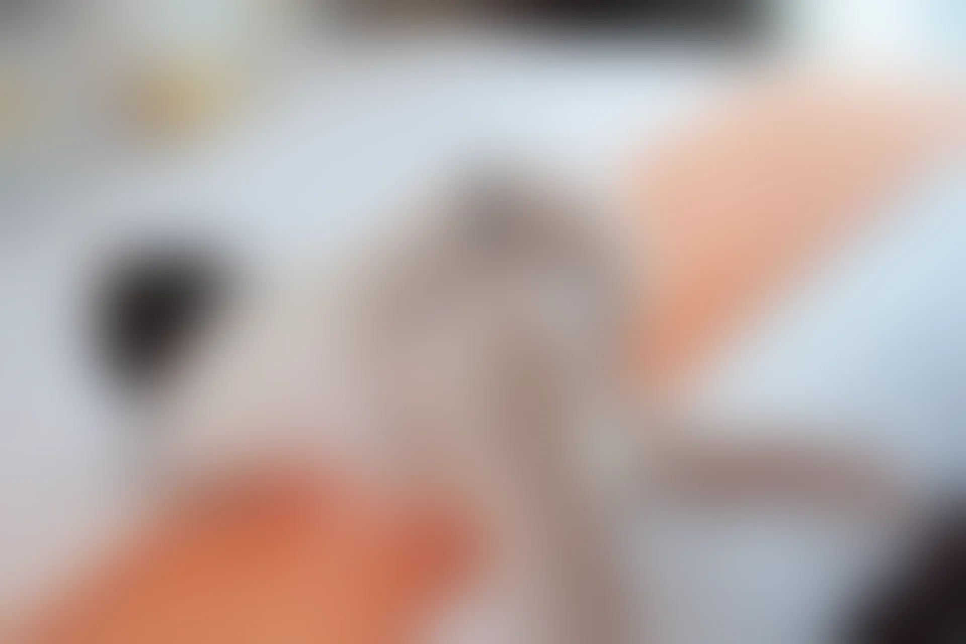 XiuRen秀人网 2022.01.17 No.4474 芝芝Booty 御姐美腿[98+1P 799MB]