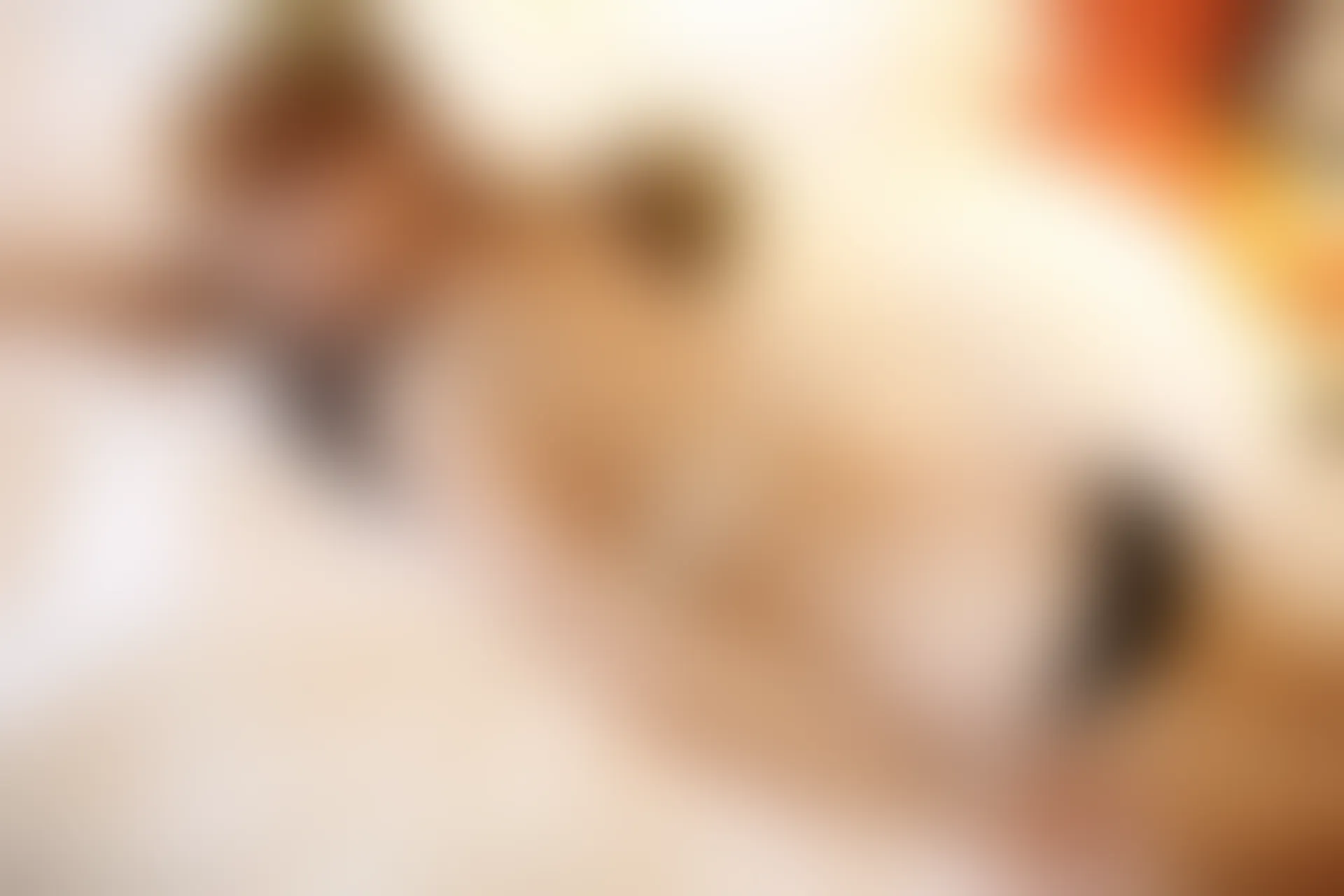 XiuRen秀人网 2014.09.04 No.209 丽莉Lily丶 [60+1P268M]