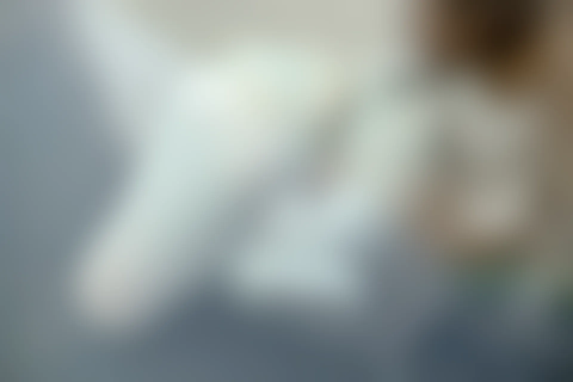 森萝财团 R15-023 [75P-495M]可爱, 学生装, 森萝财团, 白丝, 美腿