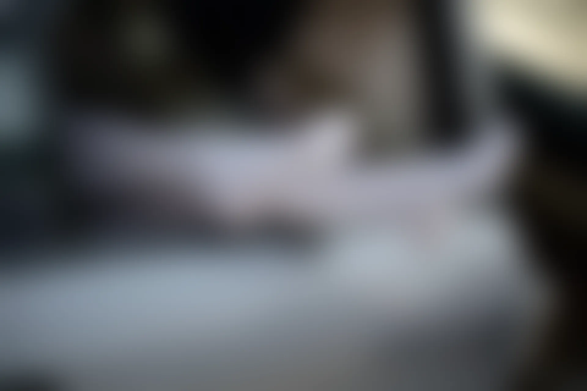 森萝财团 R15-023 [75P-495M]可爱, 学生装, 森萝财团, 白丝, 美腿