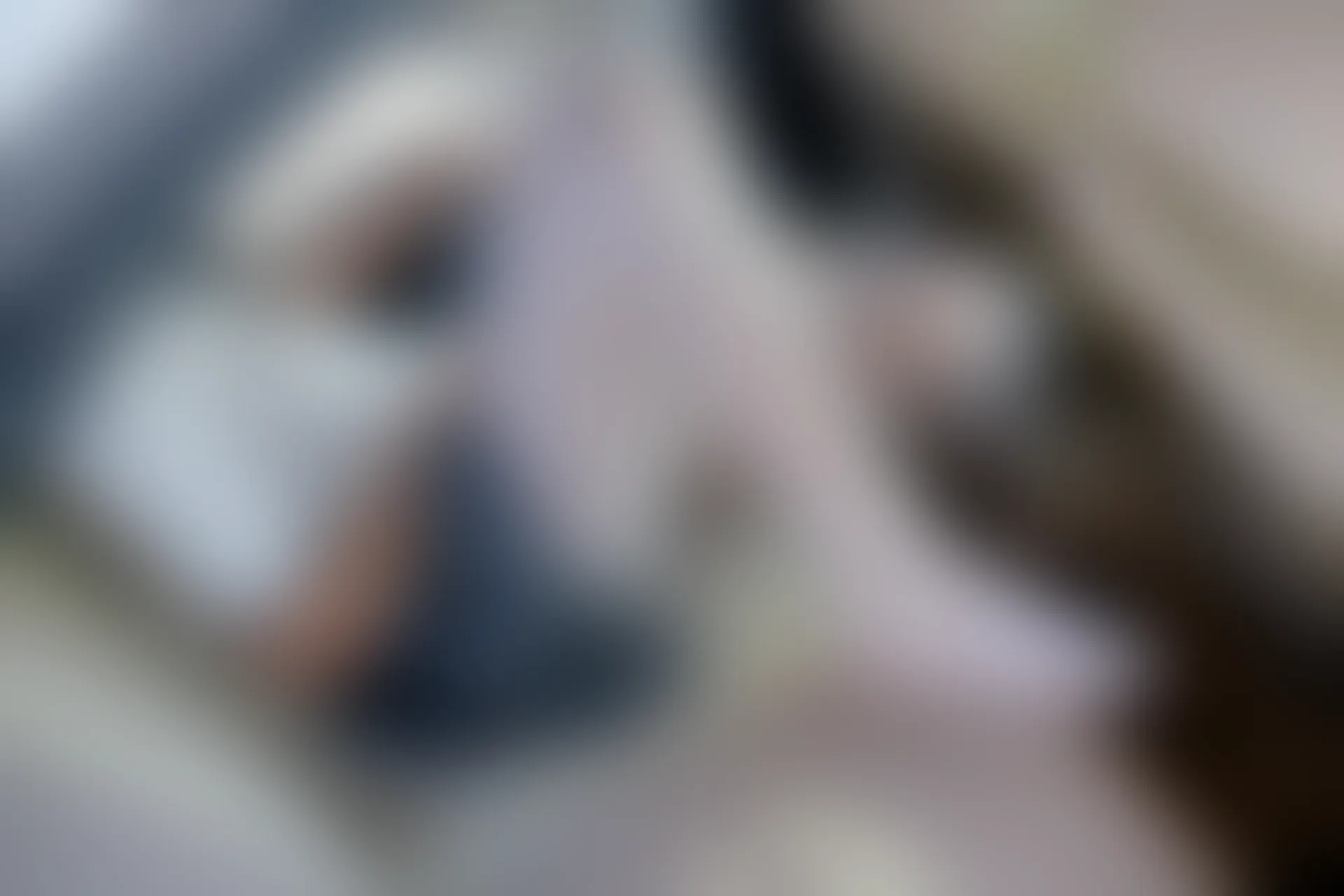 森萝财团 R15-023 [75P-495M]可爱, 学生装, 森萝财团, 白丝, 美腿