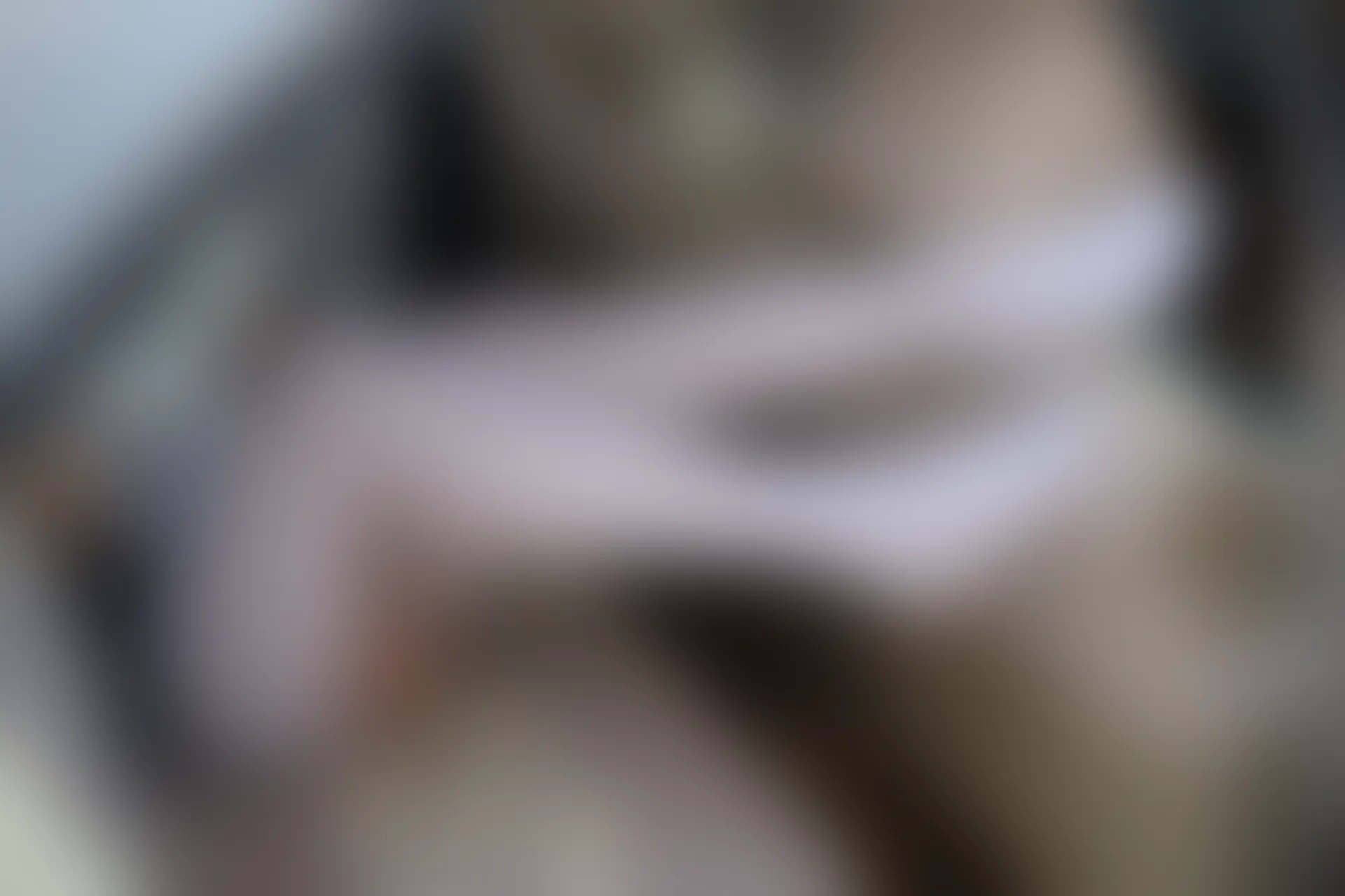 森萝财团 R15-023 [75P-495M]可爱, 学生装, 森萝财团, 白丝, 美腿