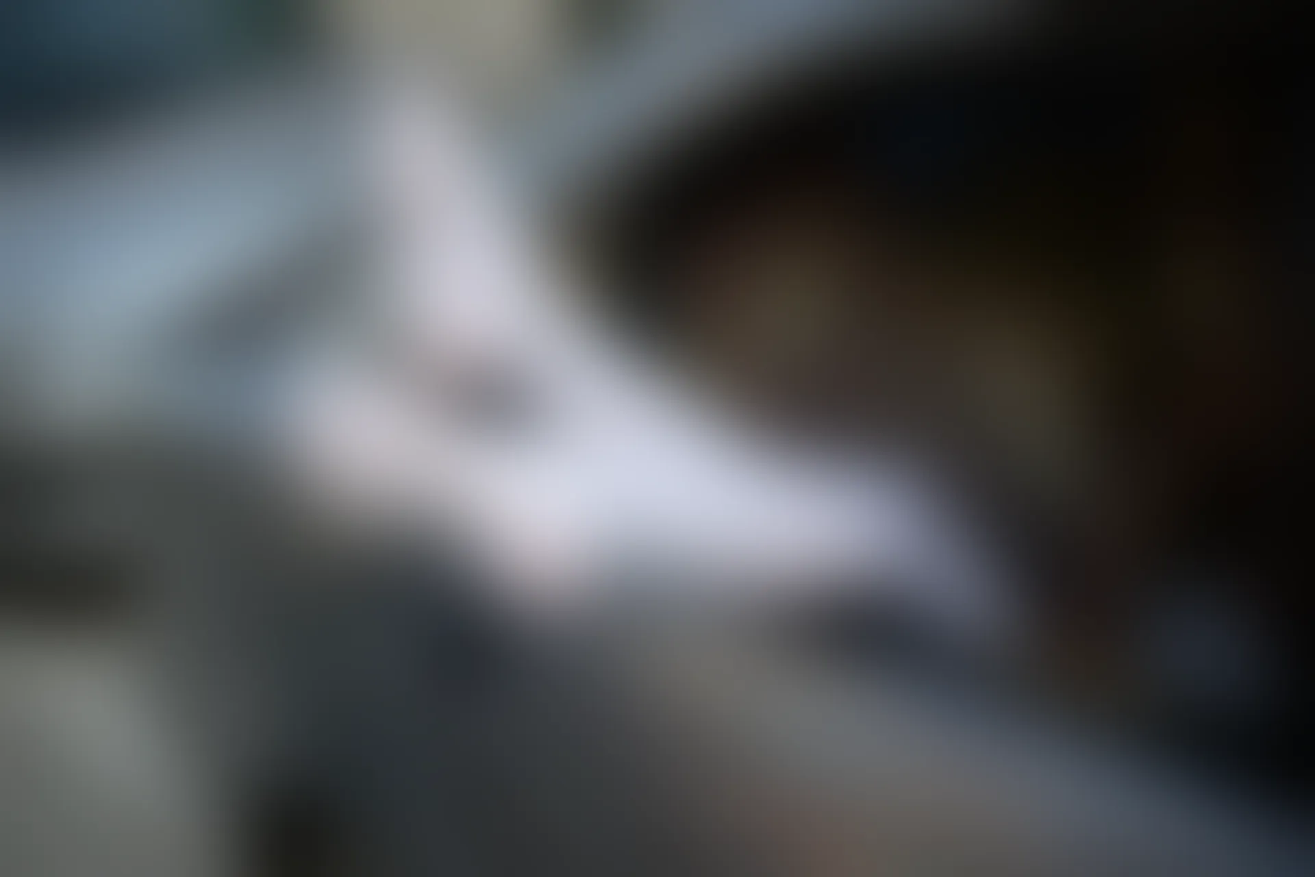 森萝财团 R15-023 [75P-495M]可爱, 学生装, 森萝财团, 白丝, 美腿