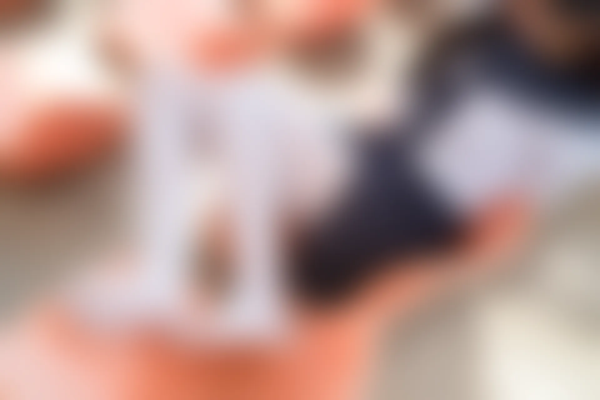 森萝财团 BETA-004 [113P-785M]校服, 水手服, 白丝, 美腿