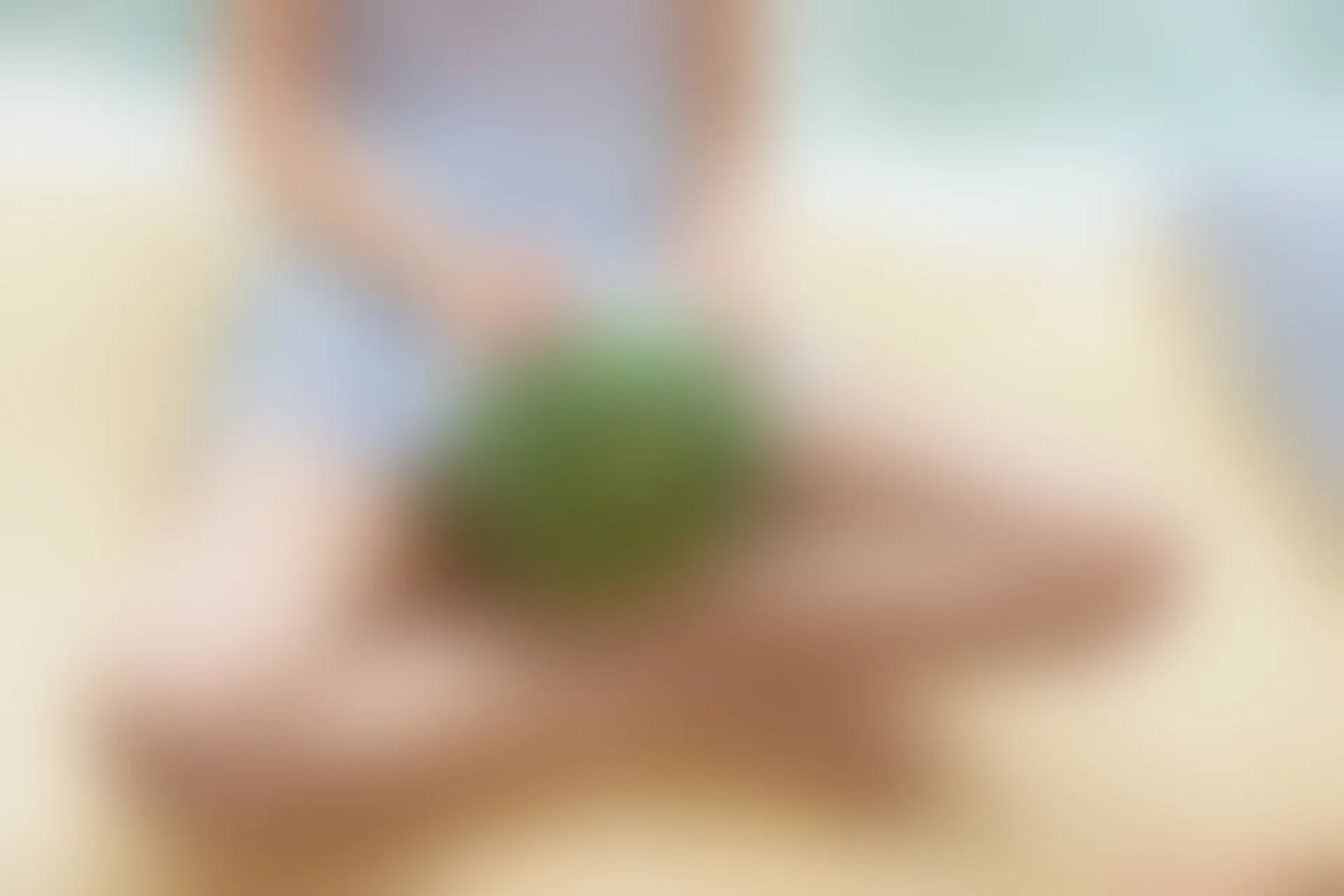 森萝财团 X-028 [128P1V-2.19G]可爱, 森萝财团, 美腿, 肉丝