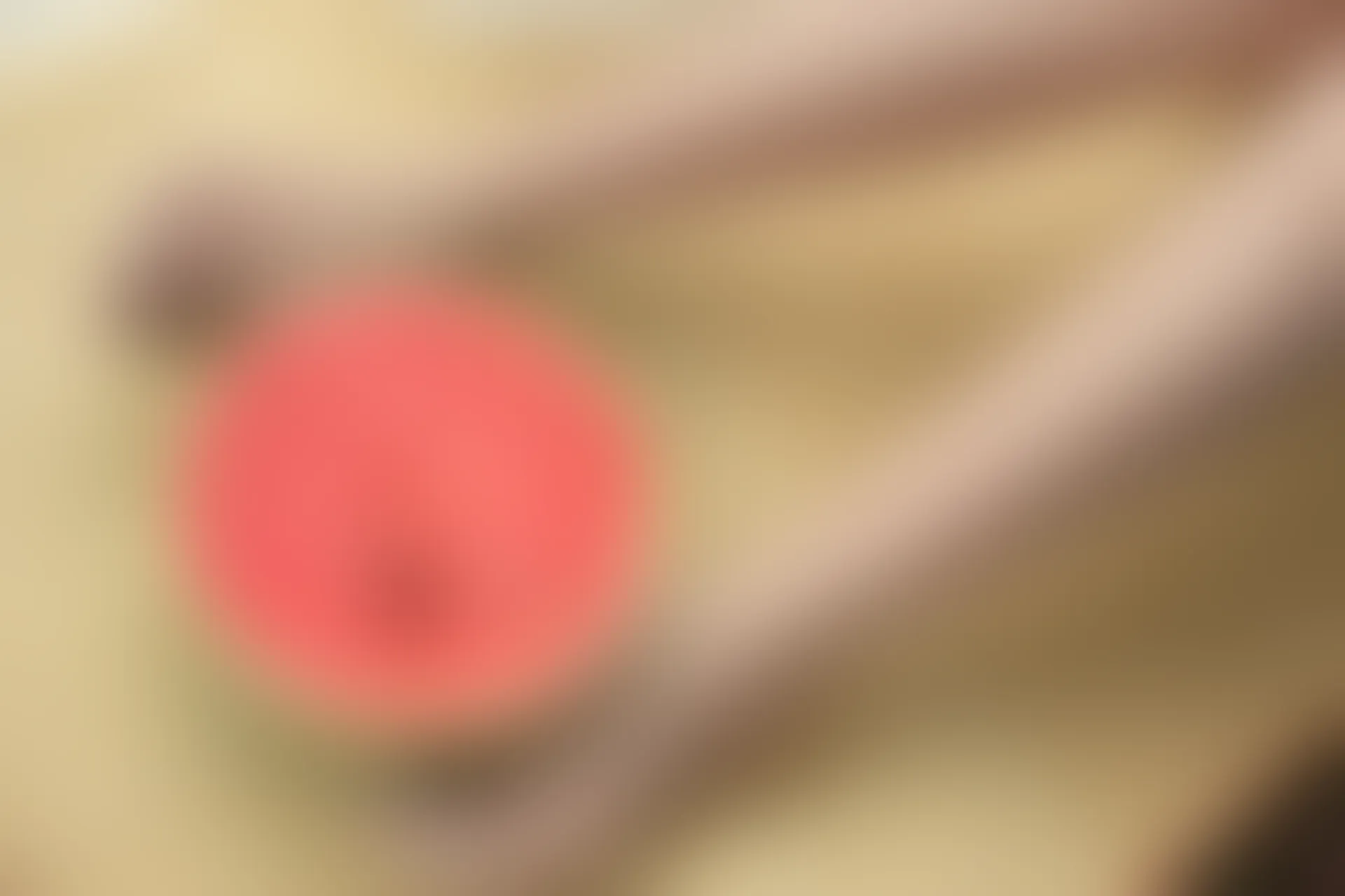 森萝财团 X-028 [128P1V-2.19G]可爱, 森萝财团, 美腿, 肉丝