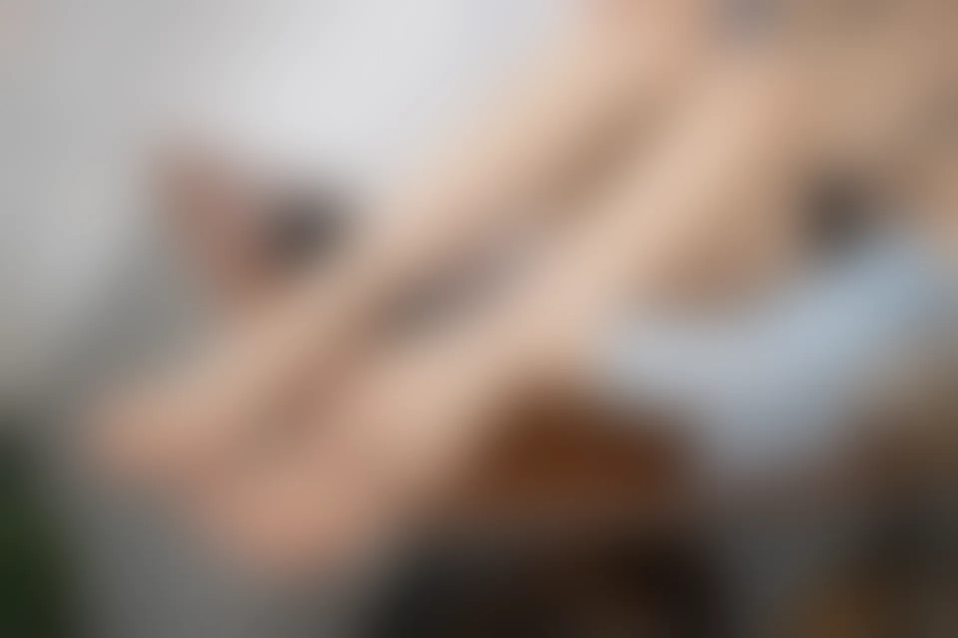 XiuRen秀人网 2021.12.17 No.4352 鱼子酱Fish 甜美性感[85+1P 813MB]
