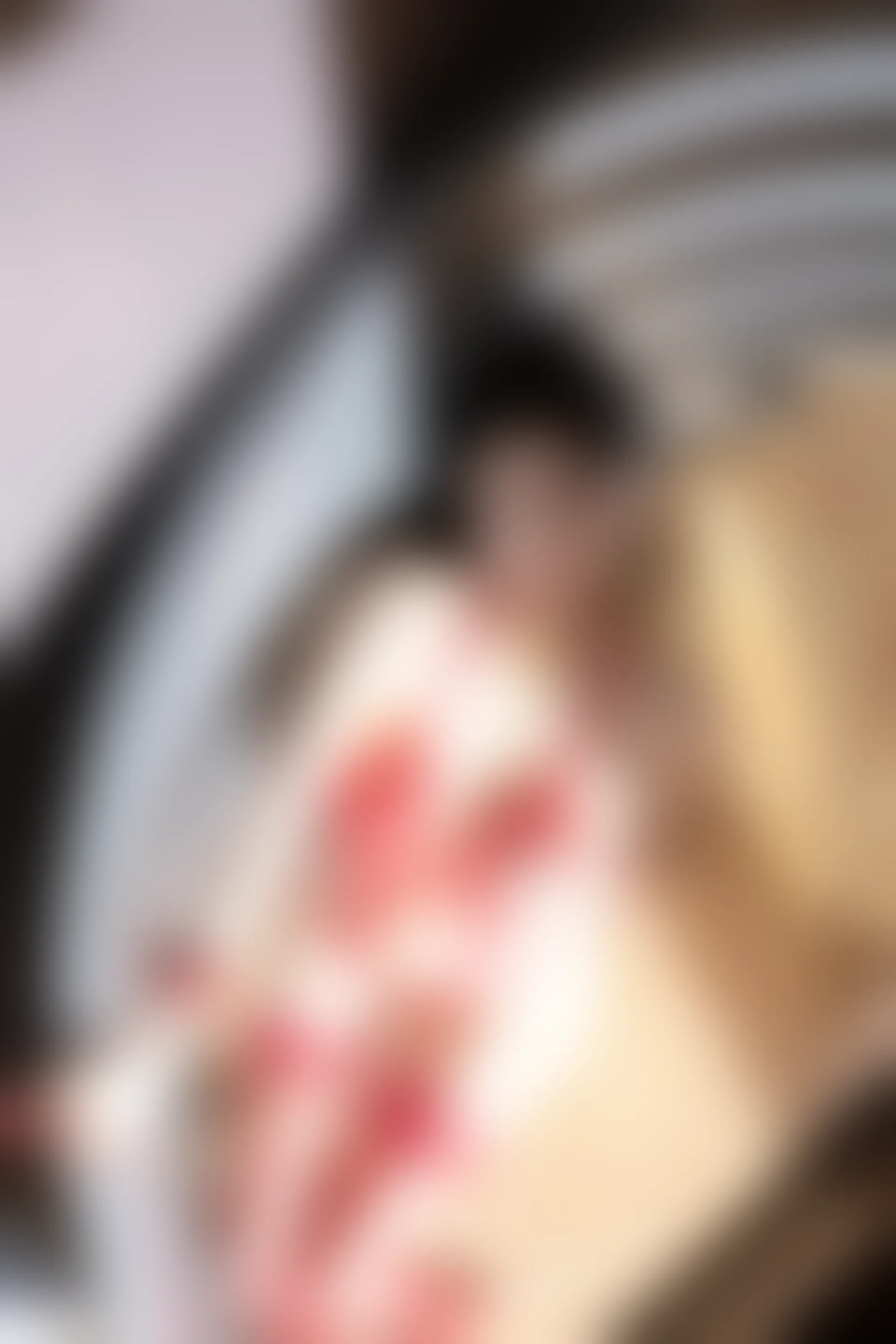 XIUREN秀人网 2024.02.18 NO.8103 杨晨晨Yome[85+1P／685MB]