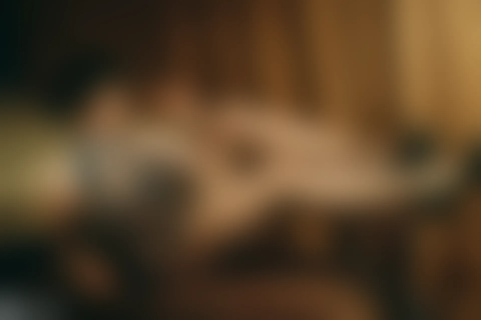 C14.008 珠光宝气 [39P-542MB]