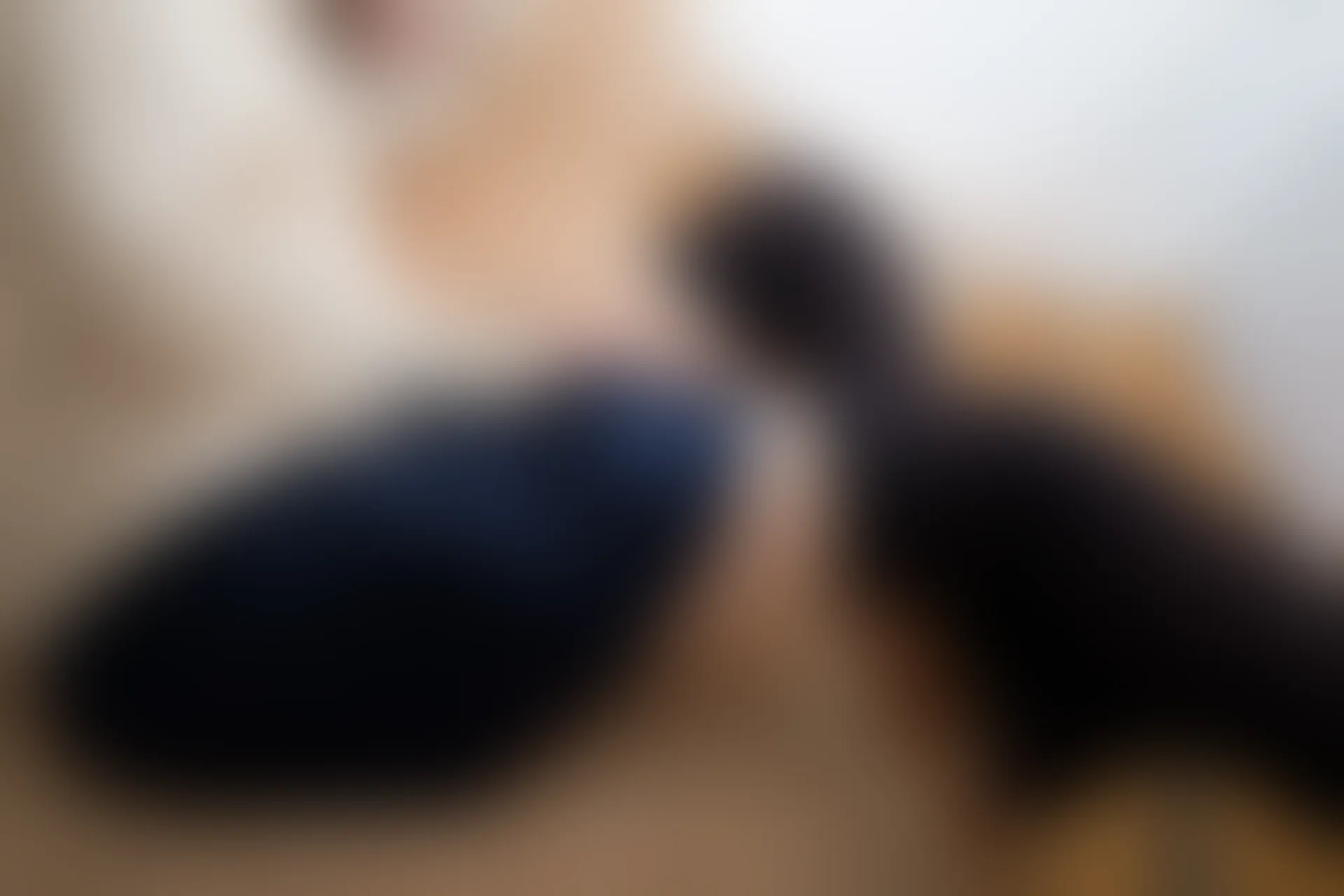 喵写真 R15-002 [90P1V-767M]可爱, 喵写真, 美腿, 黑丝