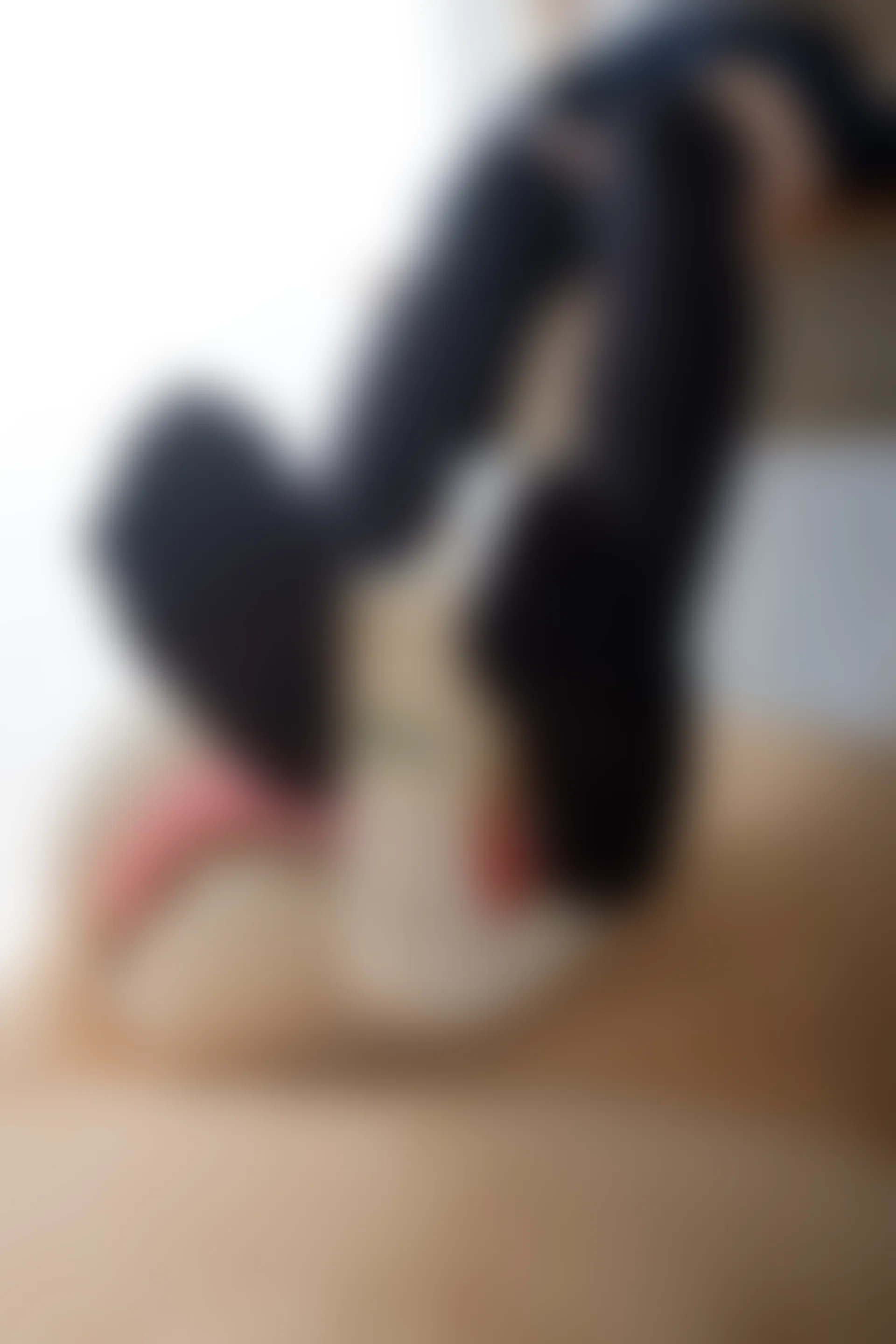 喵写真 R15-002 [90P1V-767M]可爱, 喵写真, 美腿, 黑丝