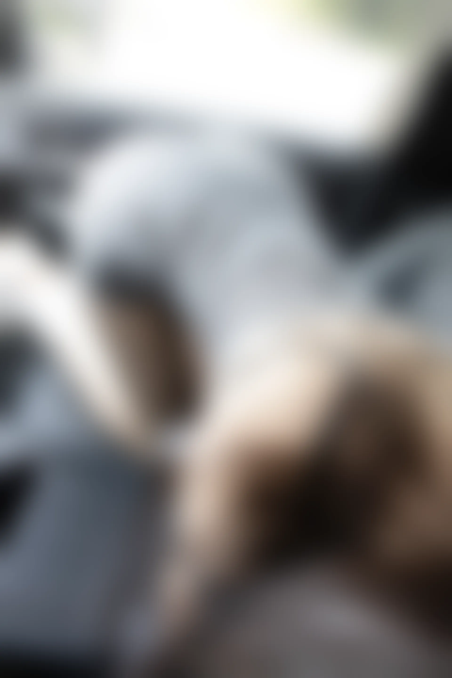 XIUREN秀人网 2024.01.23 NO.8005 章芃芃[83+1P／764MB]