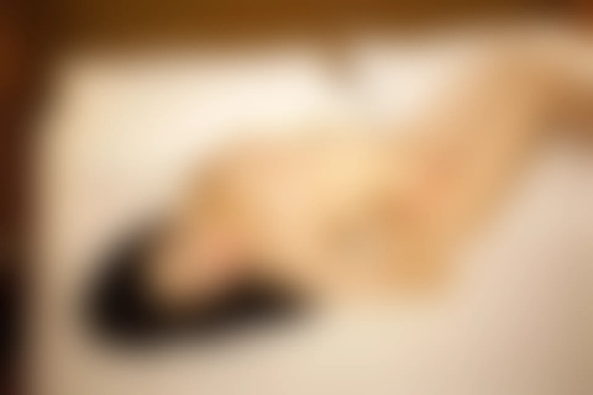 XiuRen秀人网 2014.01.23 No.090 luvian本能