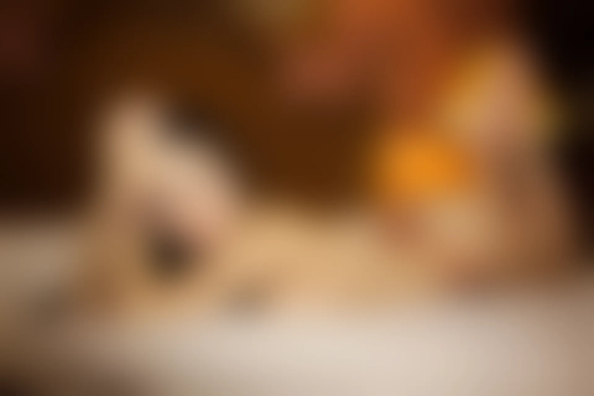 XiuRen秀人网 2014.01.23 No.090 luvian本能