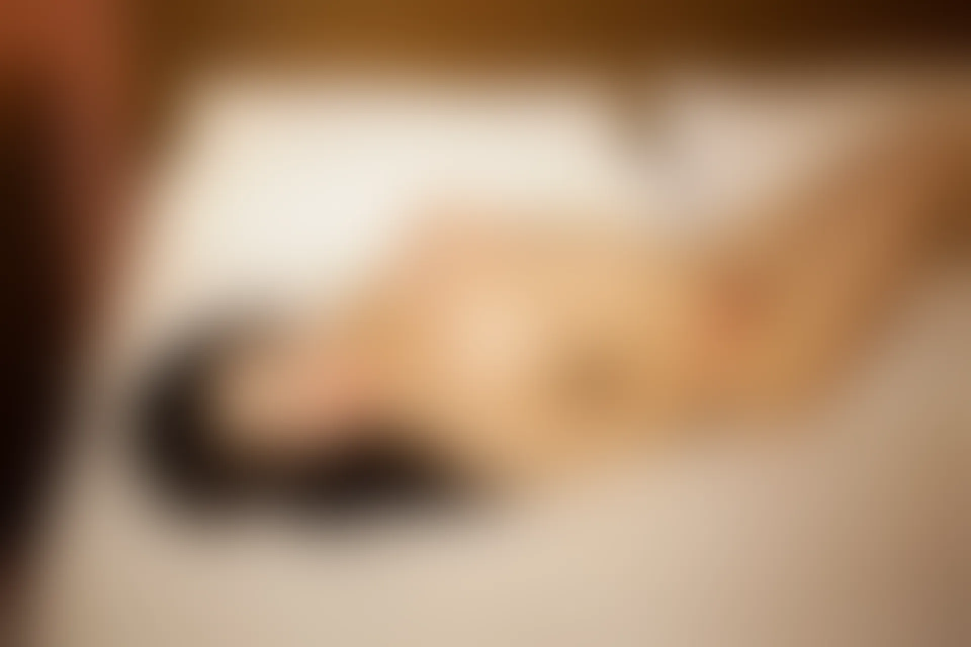 XiuRen秀人网 2014.01.23 No.090 luvian本能