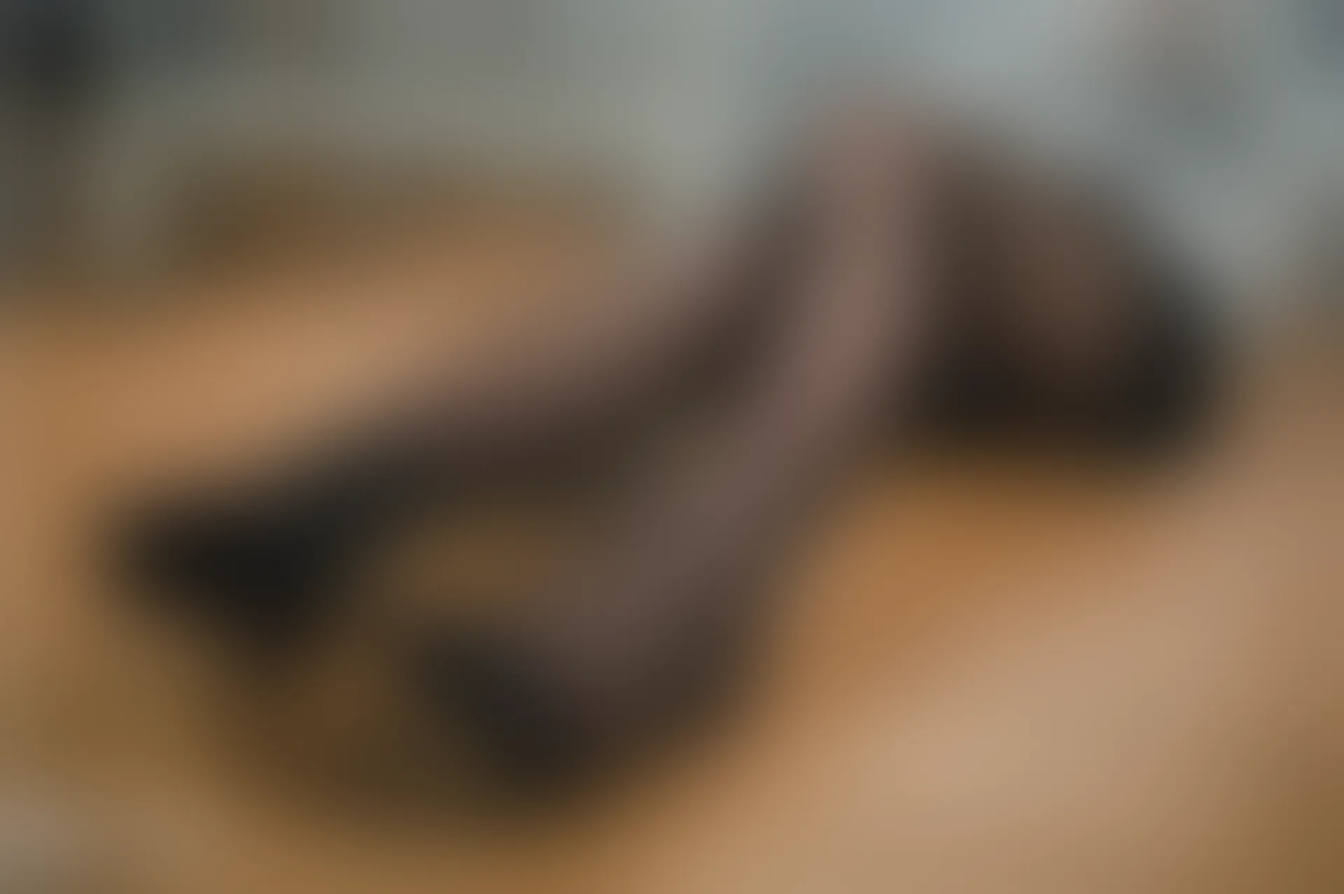 C03.007 校服爱宕 [41P-45MB]