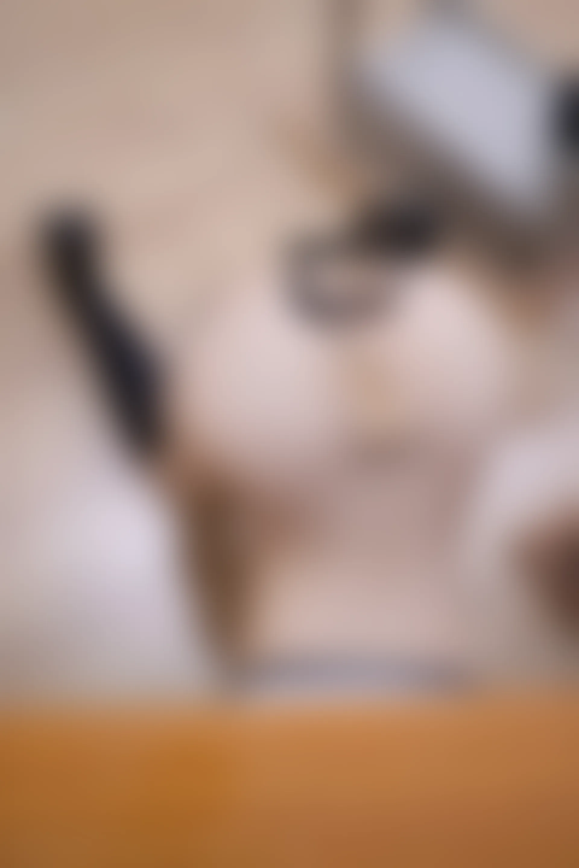 XIUREN秀人网 2024.02.02 NO.8058 幼幼[80+1P／714MB]
