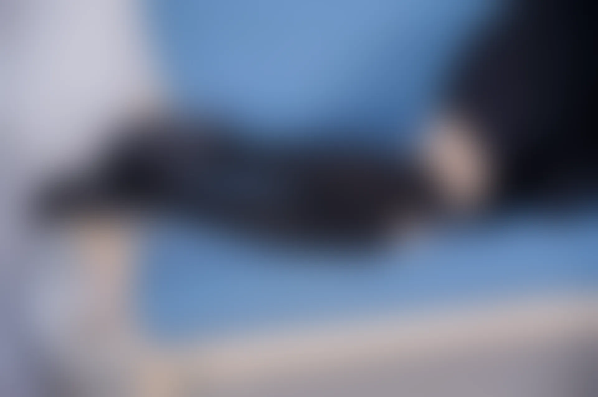 SSA丝社 超清写真 NO.116 慧慧 腿模慧慧清纯JK学生制服（黑色星期五）[138P-2.14GB]