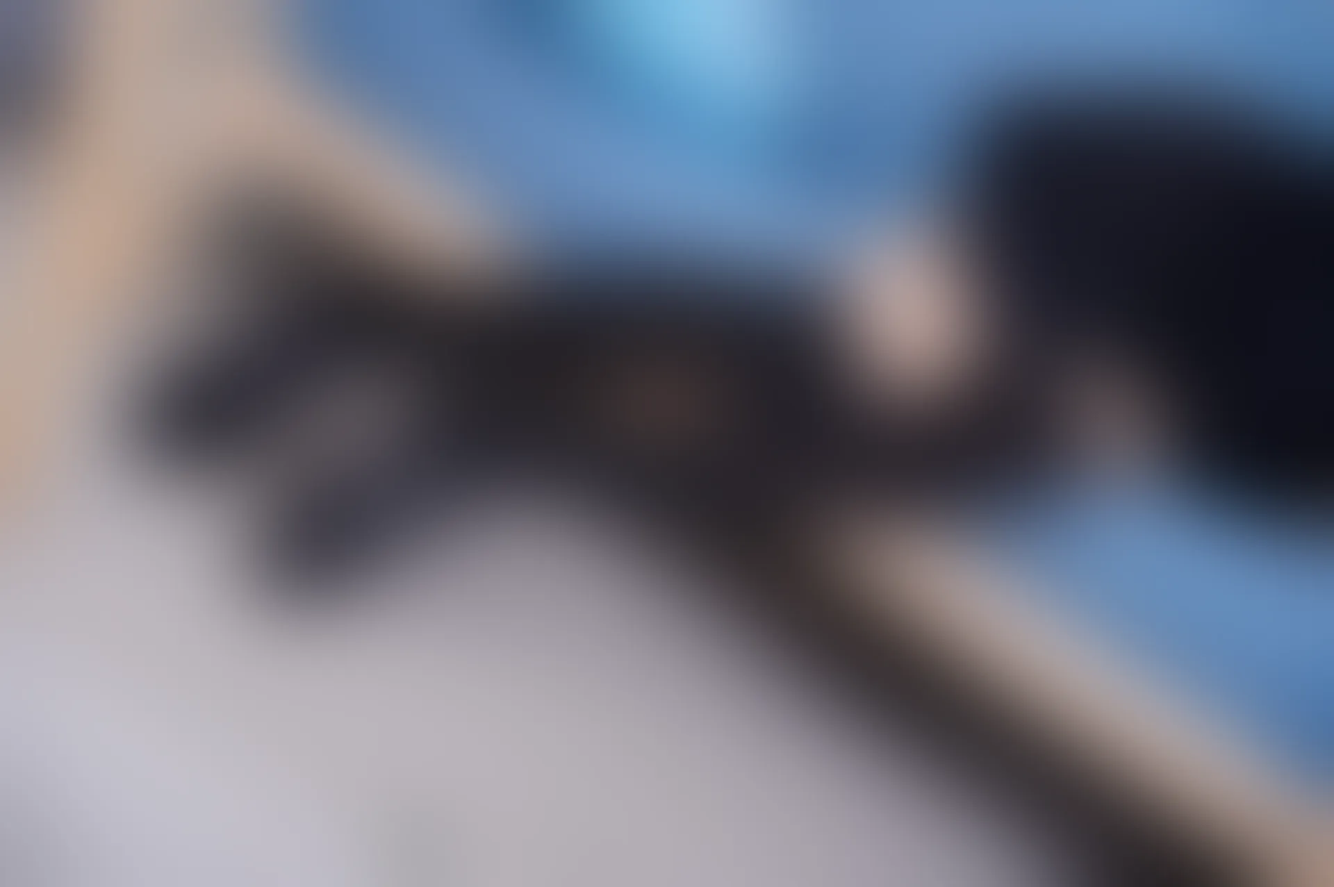 SSA丝社 超清写真 NO.116 慧慧 腿模慧慧清纯JK学生制服（黑色星期五）[138P-2.14GB]