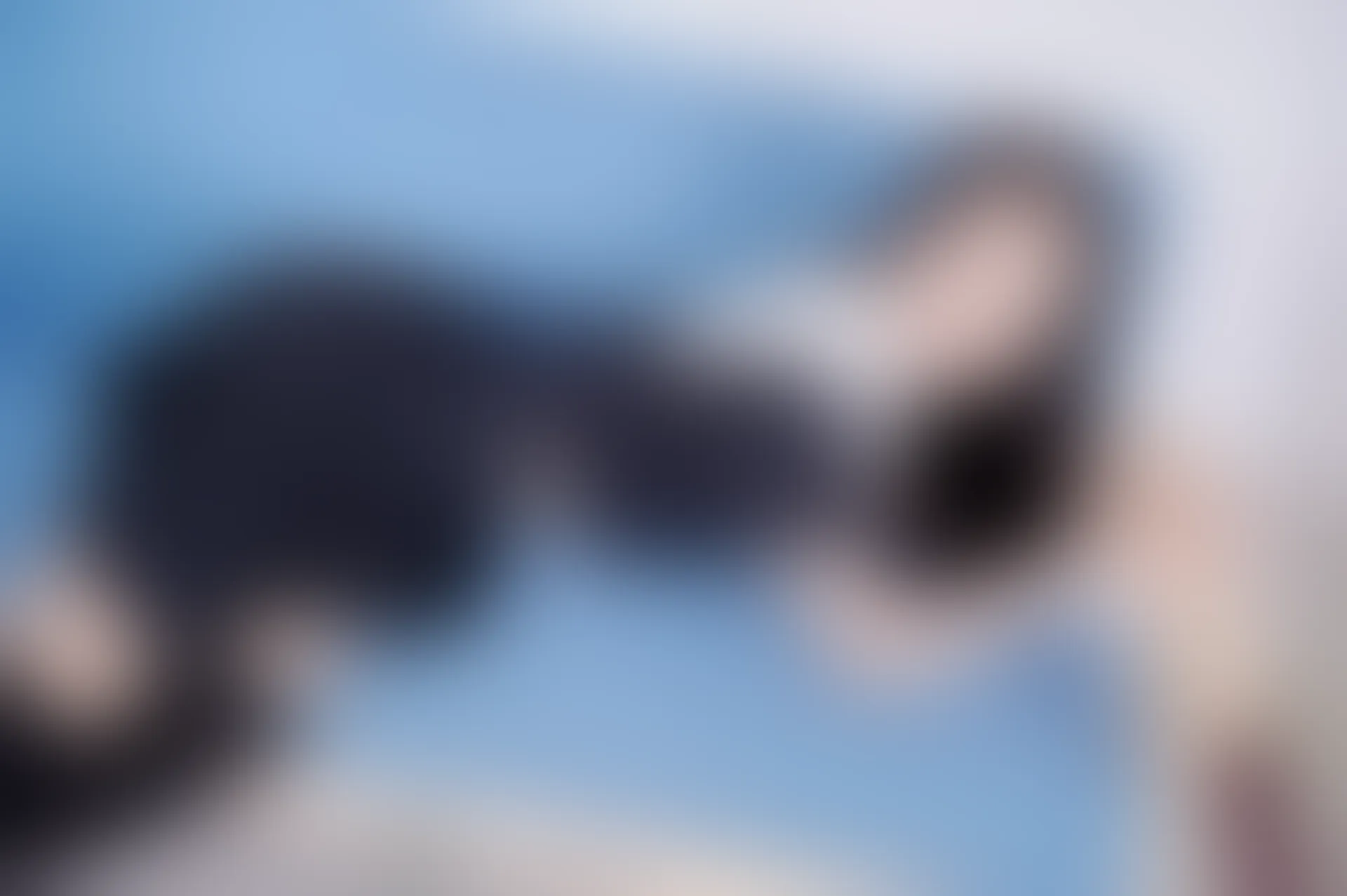 SSA丝社 超清写真 NO.116 慧慧 腿模慧慧清纯JK学生制服（黑色星期五）[138P-2.14GB]
