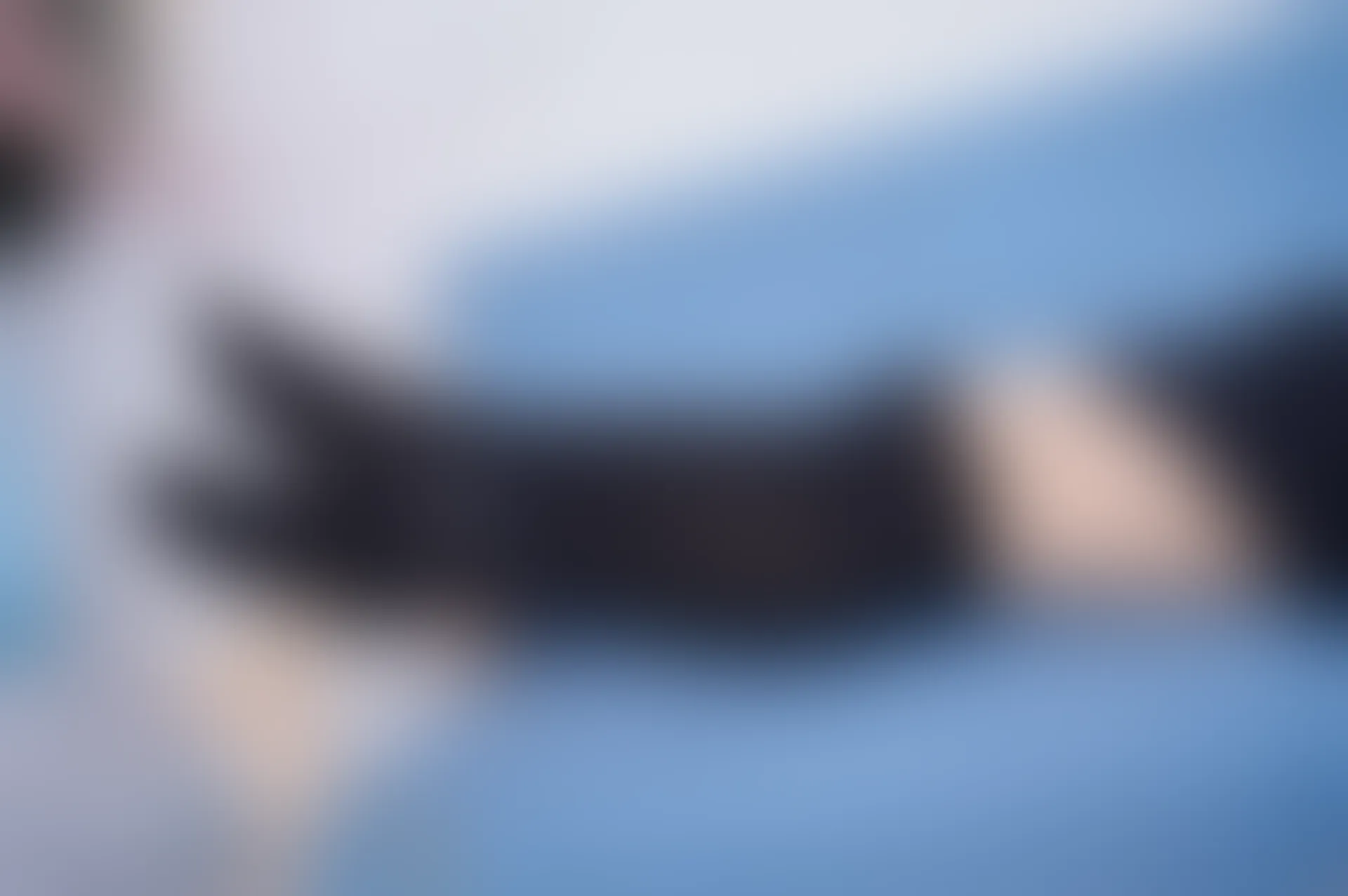 SSA丝社 超清写真 NO.116 慧慧 腿模慧慧清纯JK学生制服（黑色星期五）[138P-2.14GB]