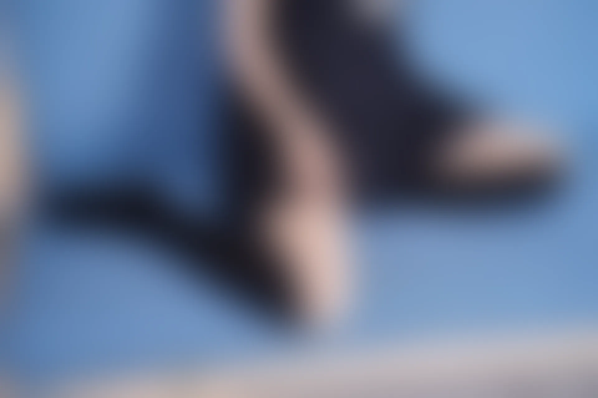 SSA丝社 超清写真 NO.116 慧慧 腿模慧慧清纯JK学生制服（黑色星期五）[138P-2.14GB]