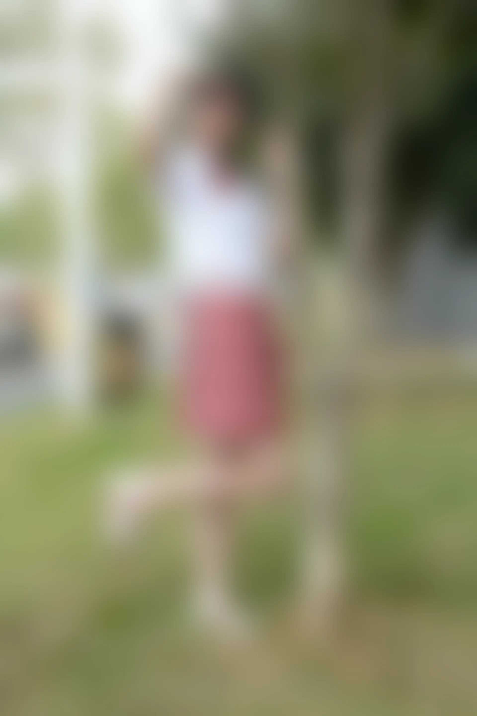 初夏女神 NO.109 安妮 今日草莓[140P+1V／3.81GB]