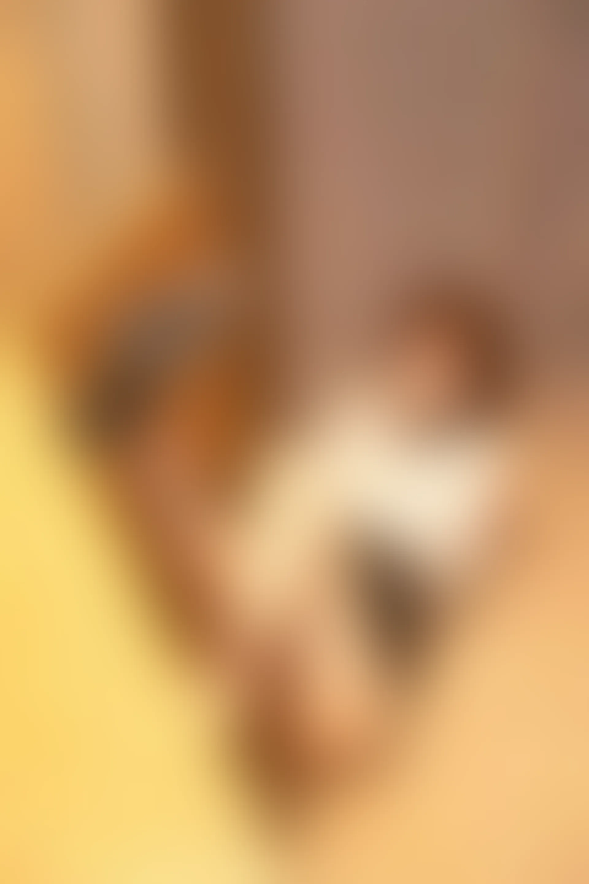 XIUREN 秀人网 2023.09.18 NO.7403 江真真[67+1P／660MB]