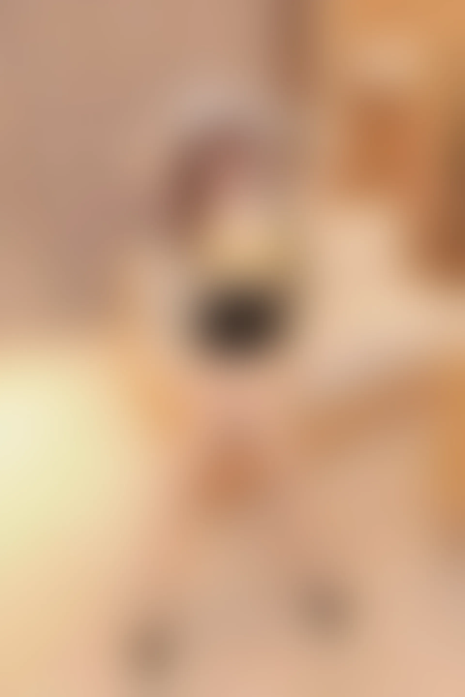 XIUREN 秀人网 2023.09.18 NO.7403 江真真[67+1P／660MB]