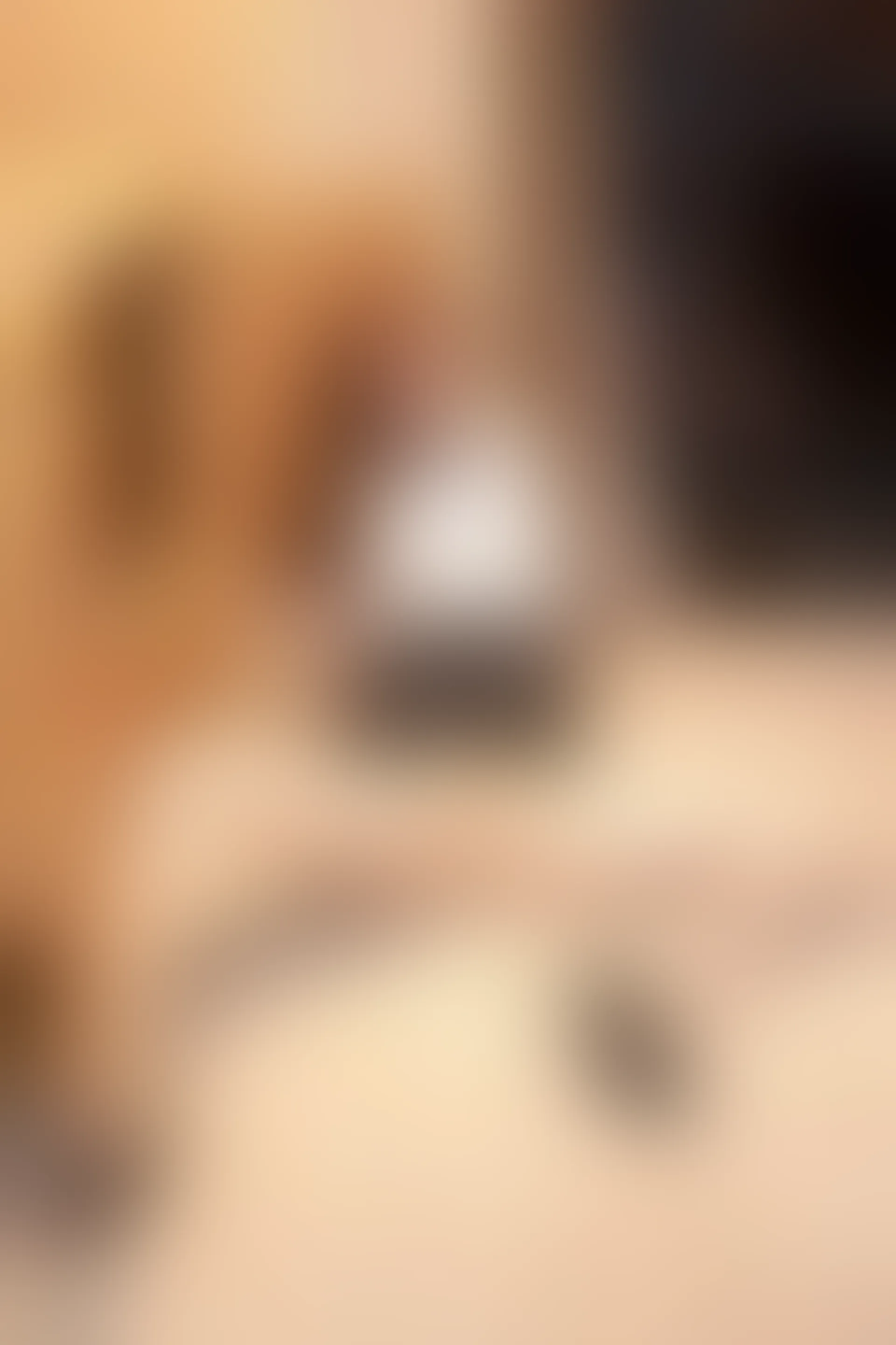 XIUREN 秀人网 2023.09.18 NO.7403 江真真[67+1P／660MB]