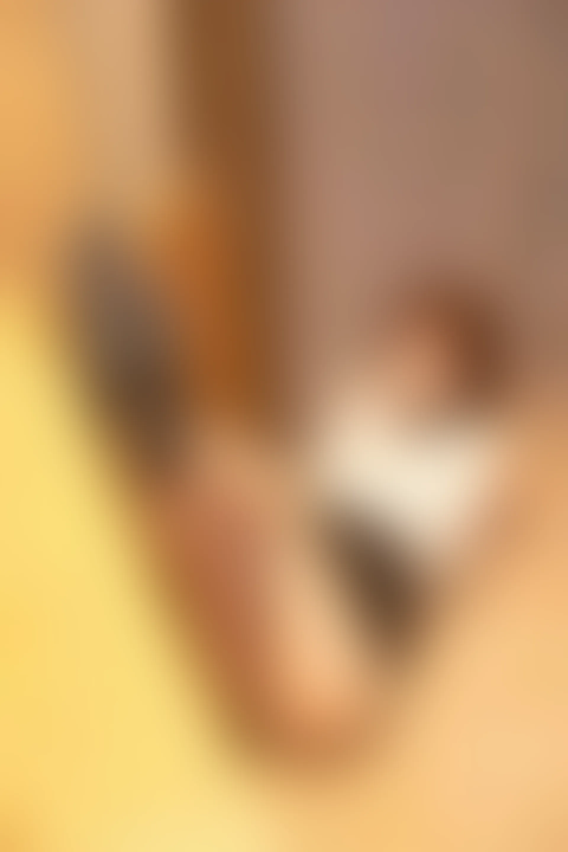 XIUREN 秀人网 2023.09.18 NO.7403 江真真[67+1P／660MB]