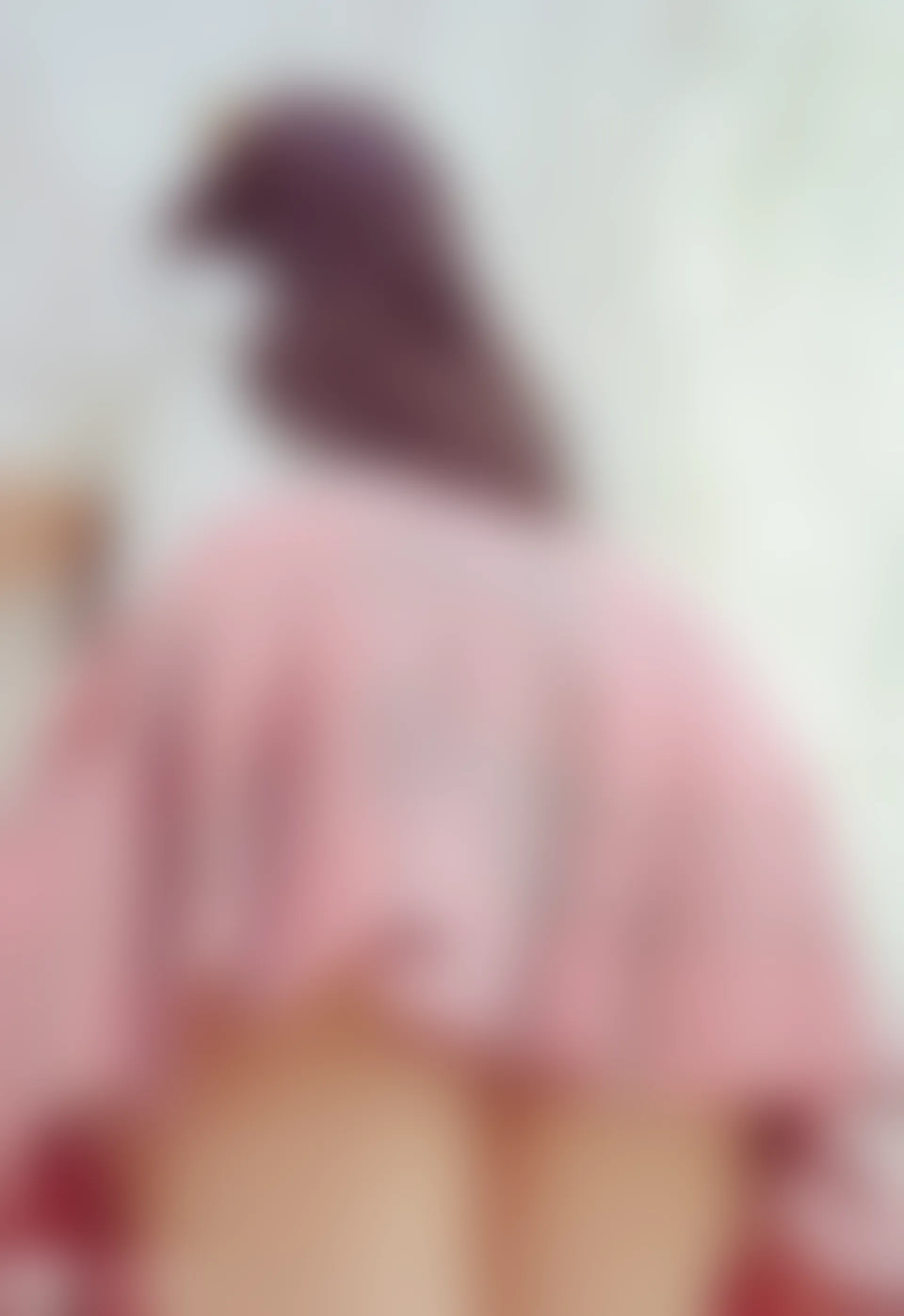 VOL.028 红粉佳人 [41P-358MB]