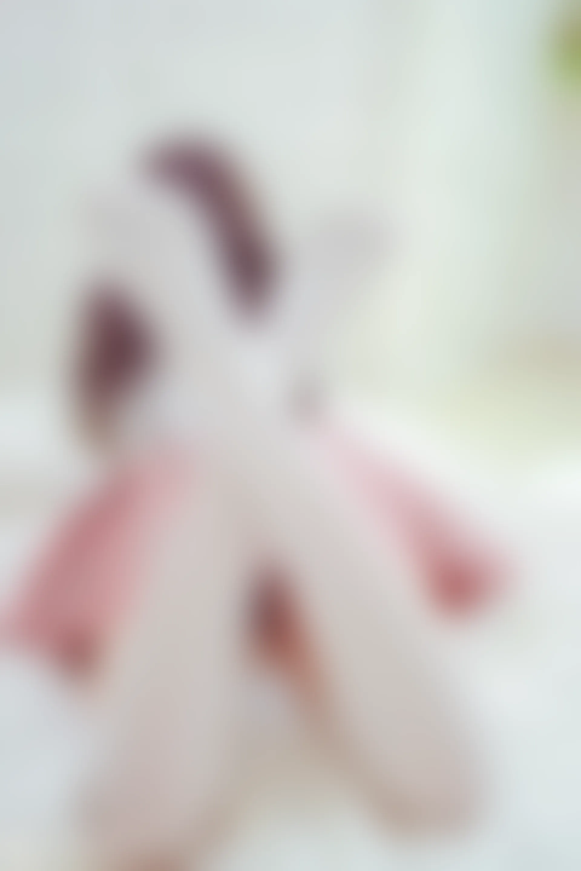 VOL.028 红粉佳人 [41P-358MB]