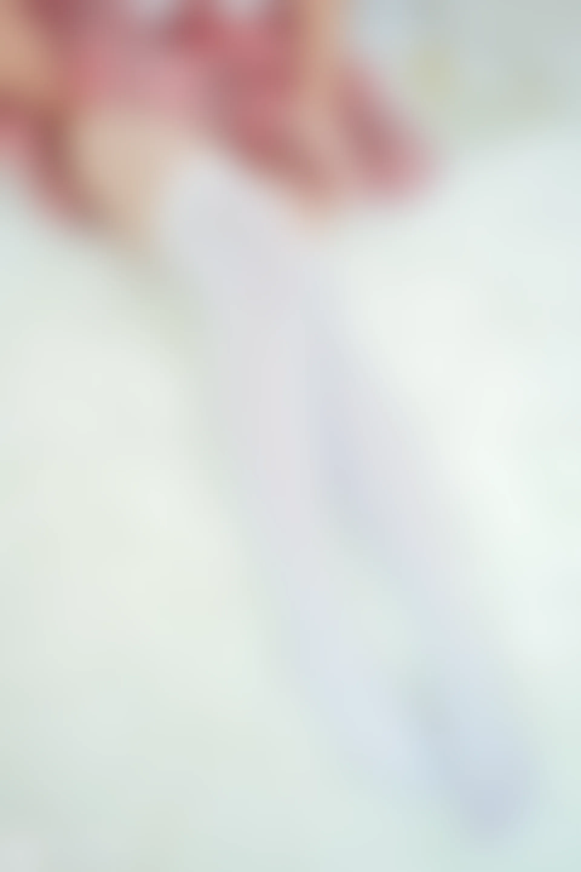 VOL.028 红粉佳人 [41P-358MB]