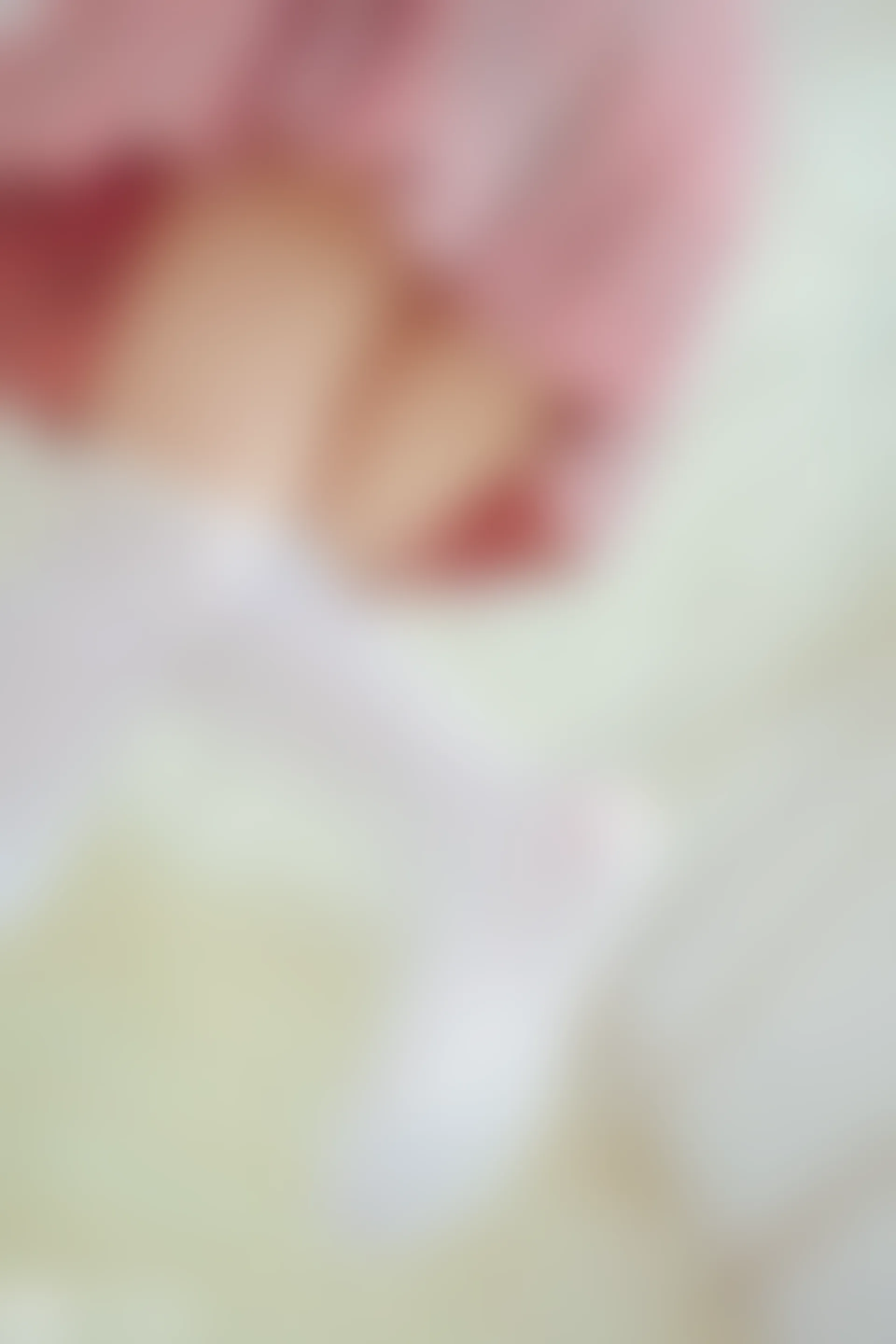 VOL.028 红粉佳人 [41P-358MB]