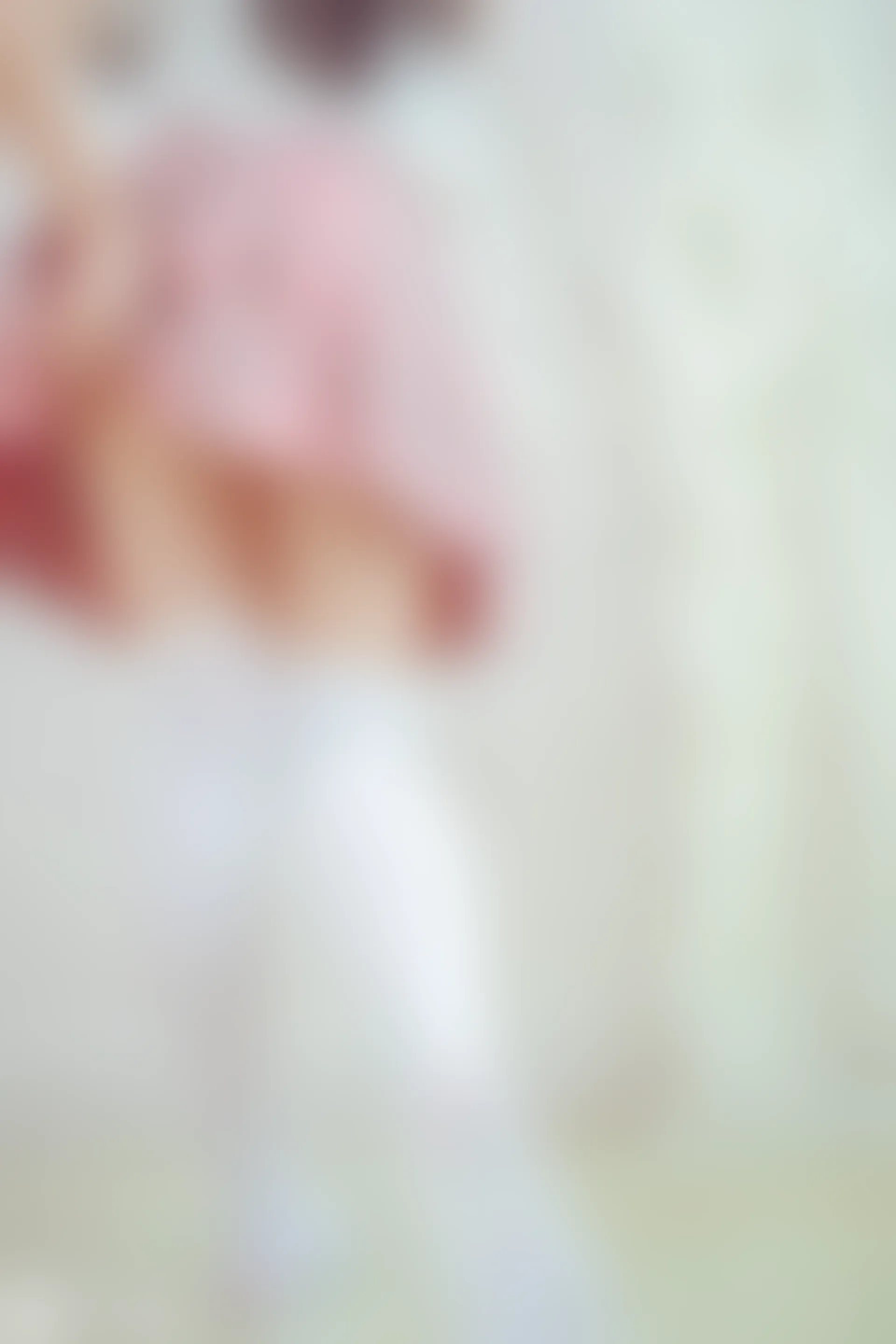 VOL.028 红粉佳人 [41P-358MB]