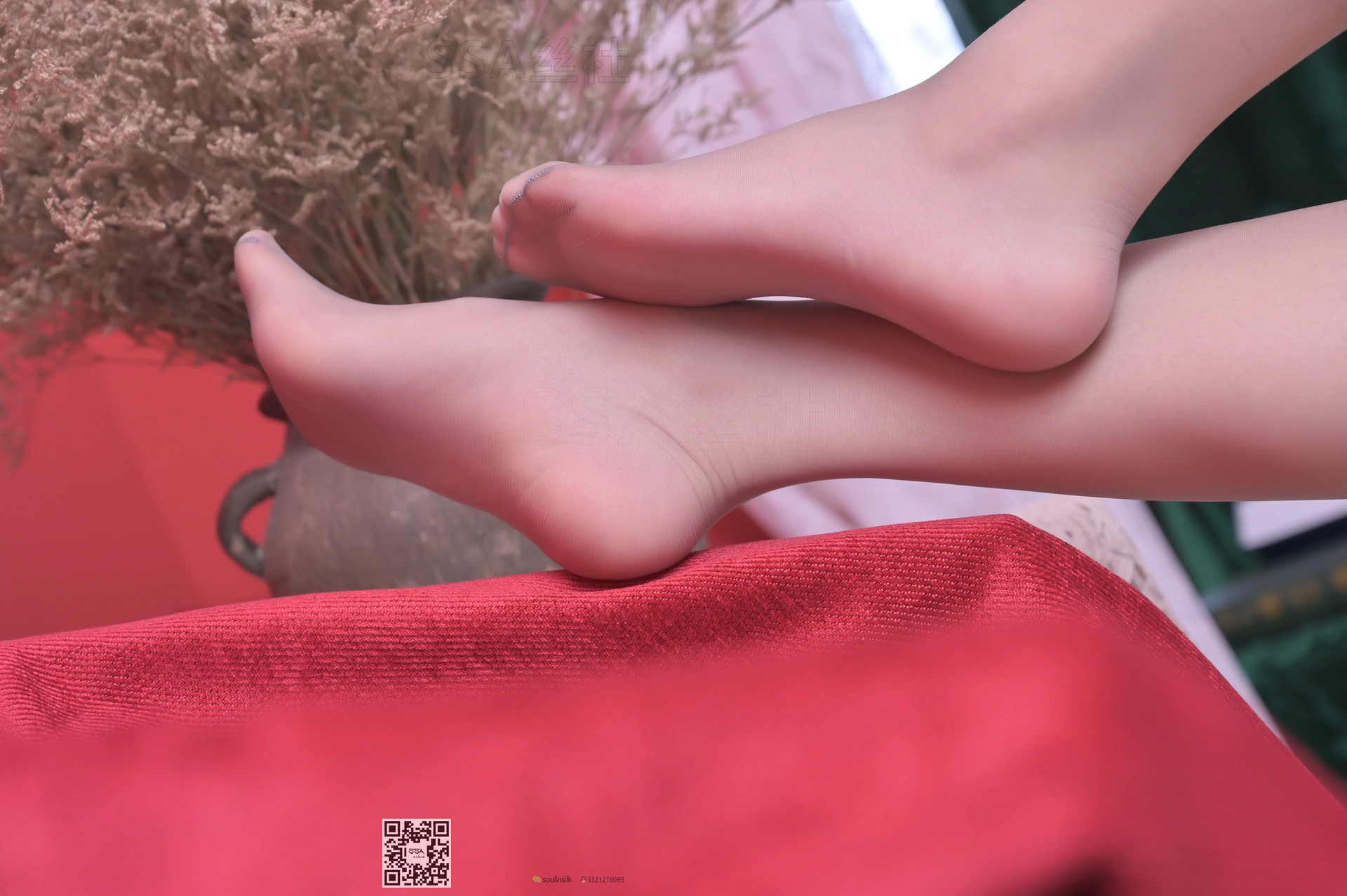 SSA丝社 超清写真 NO.100 大大 腿模大大妩媚脱丝特写[166P-1.71GB]
