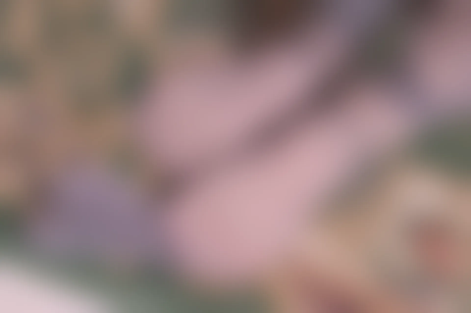 SSA丝社 超清写真 NO.100 大大 腿模大大妩媚脱丝特写[166P-1.71GB]