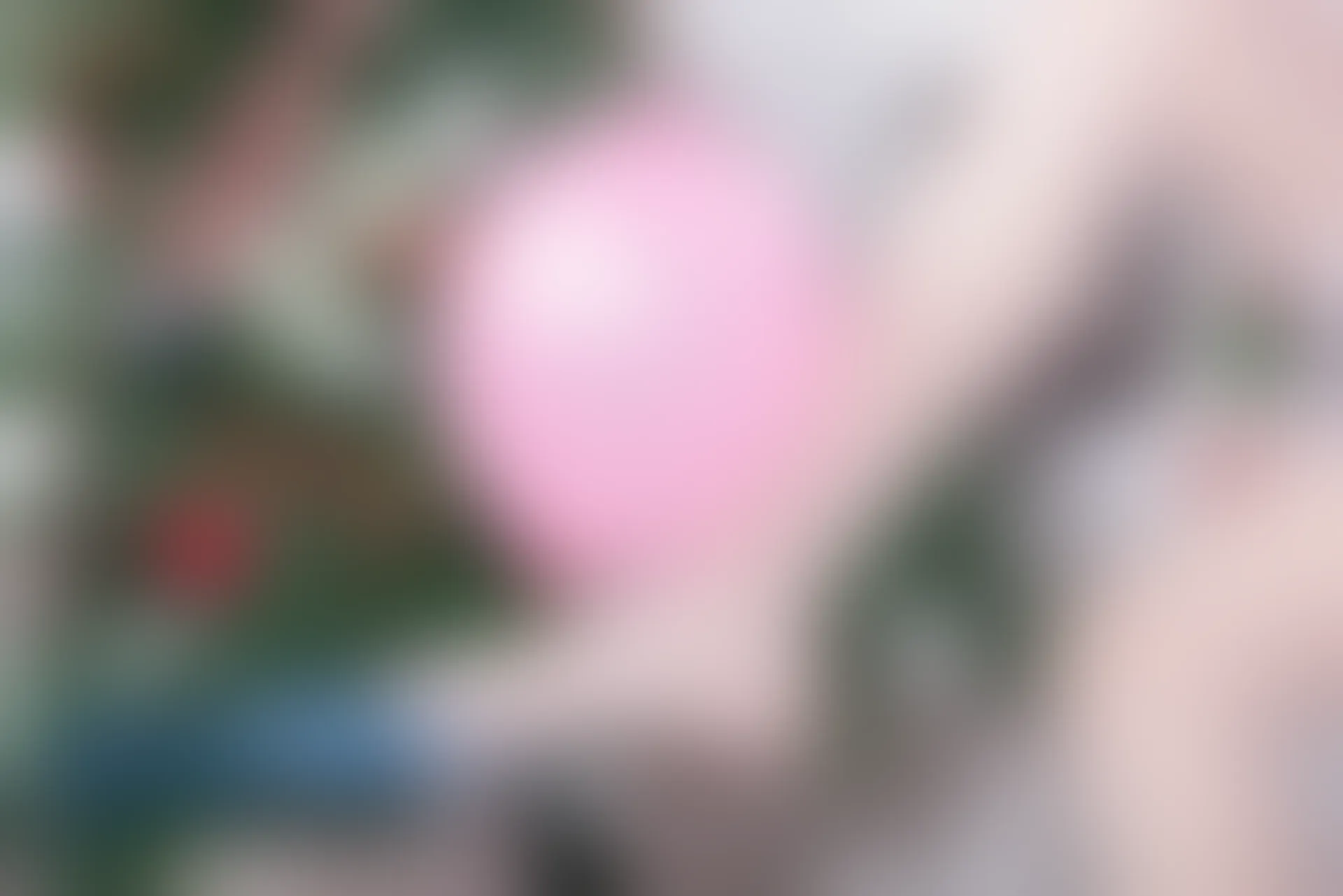 SSA丝社 超清写真 NO.058 大大 圣诞节特辑[130P-1.41GB]