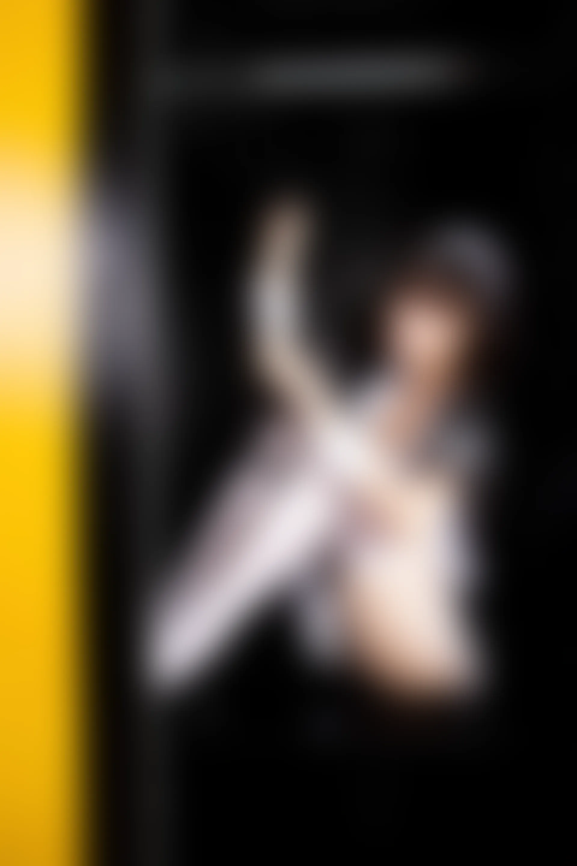 VOL.004 萝莉女仆 [47P-314MB]