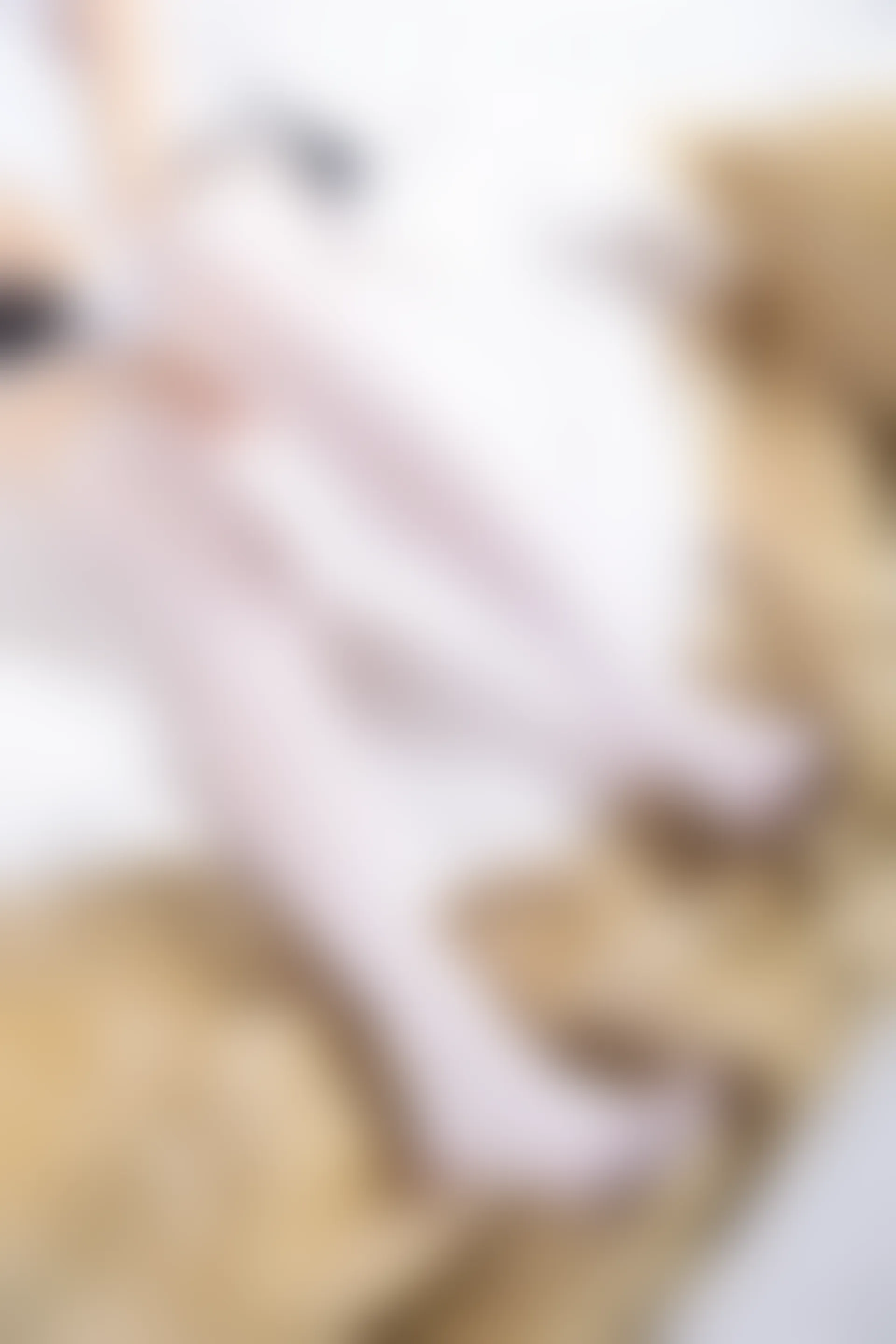 VOL.004 萝莉女仆 [47P-314MB]