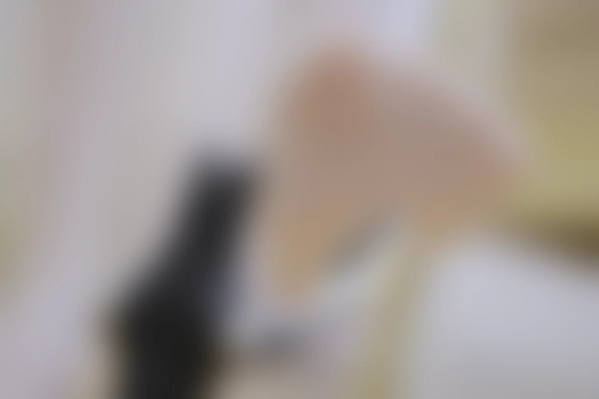 森萝财团 内部VIP系列 微风-04 白丝蓝白JK制服 [102P1V-3.3G]