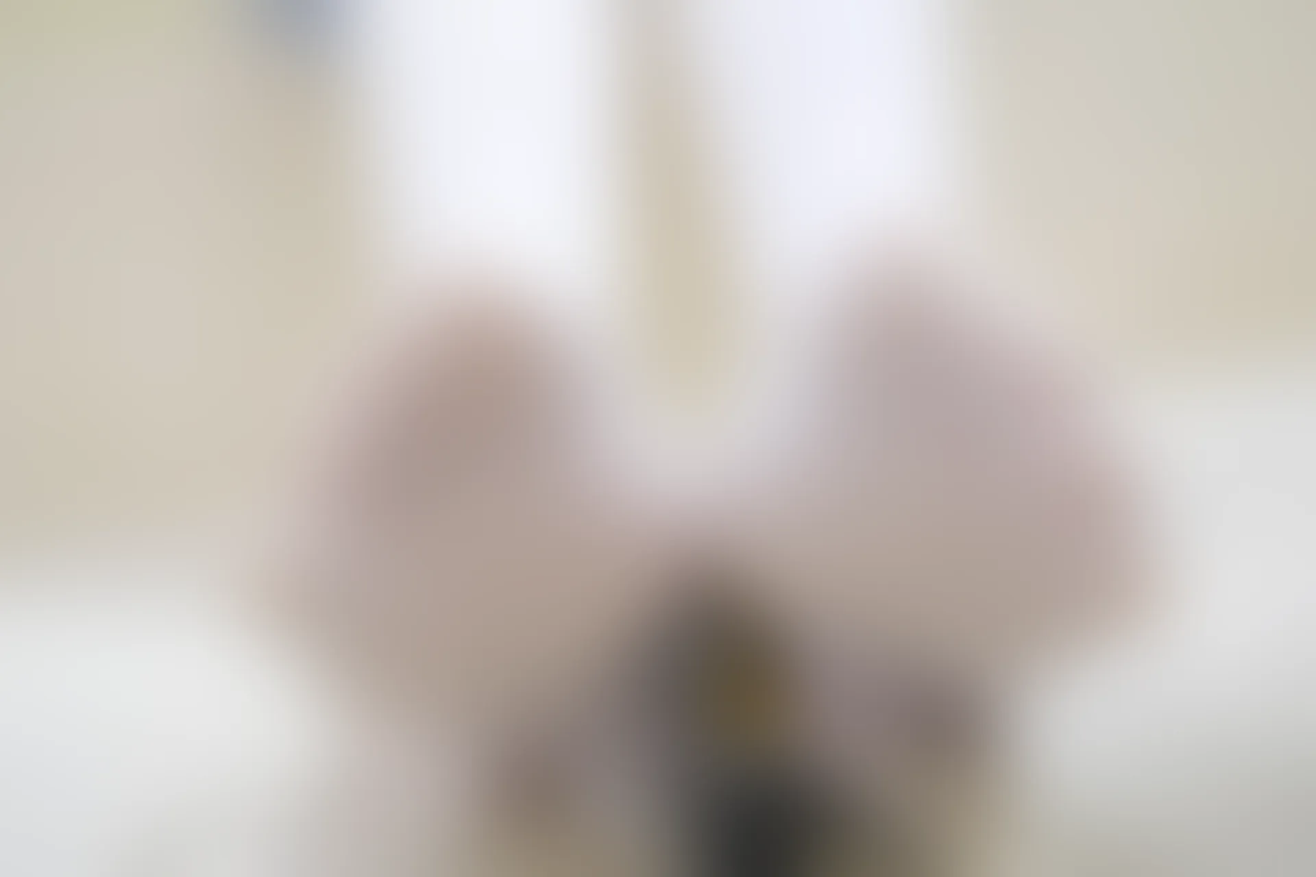 森萝财团 内部VIP系列 微风-04 白丝蓝白JK制服 [102P1V-3.3G]