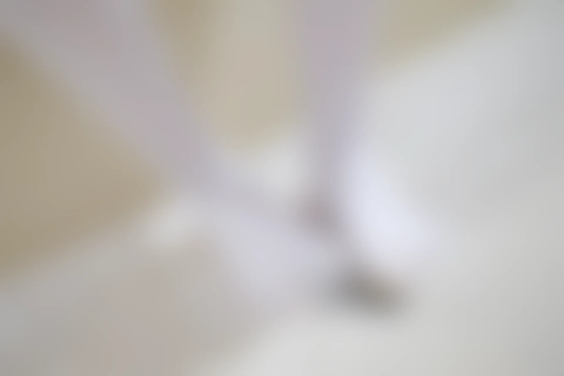 森萝财团 内部VIP系列 微风-04 白丝蓝白JK制服 [102P1V-3.3G]