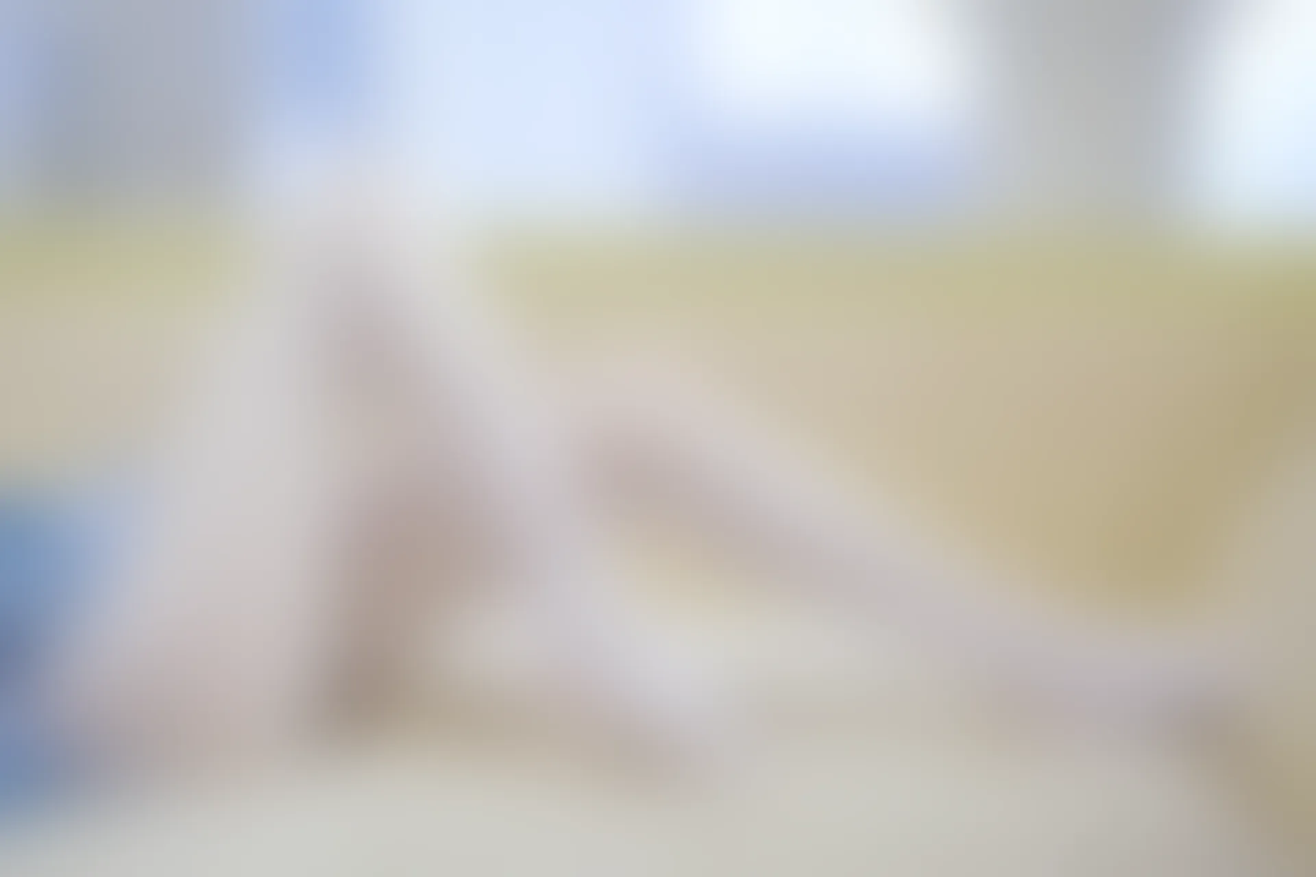 森萝财团 内部VIP系列 微风-04 白丝蓝白JK制服 [102P1V-3.3G]