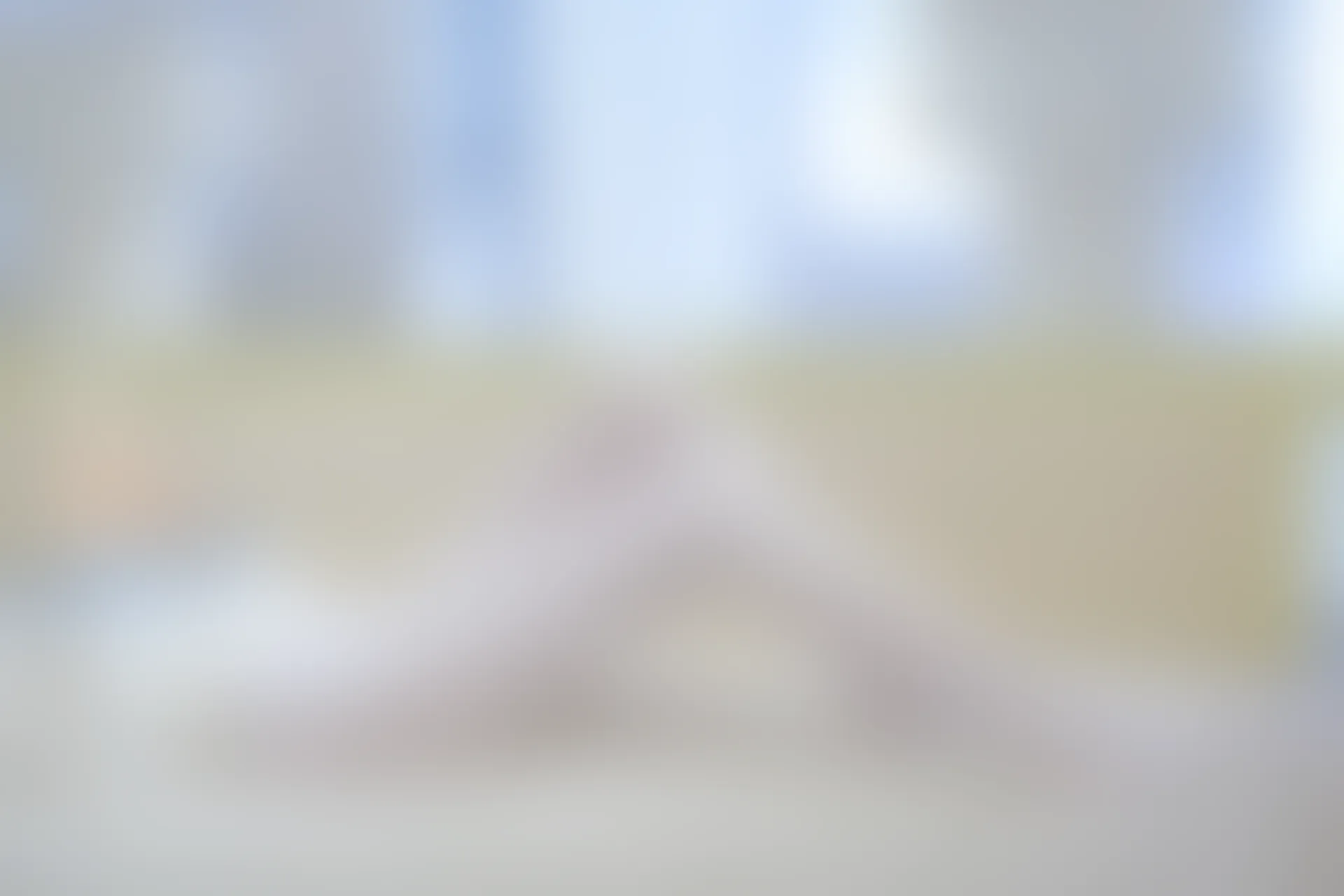 森萝财团 内部VIP系列 微风-04 白丝蓝白JK制服 [102P1V-3.3G]