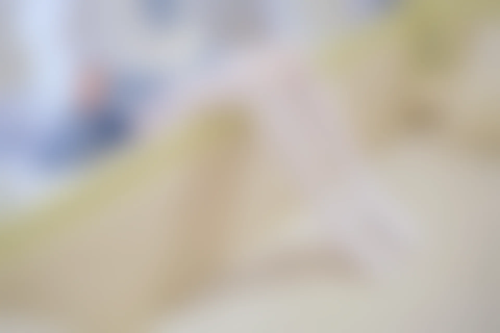 森萝财团 内部VIP系列 微风-04 白丝蓝白JK制服 [102P1V-3.3G]