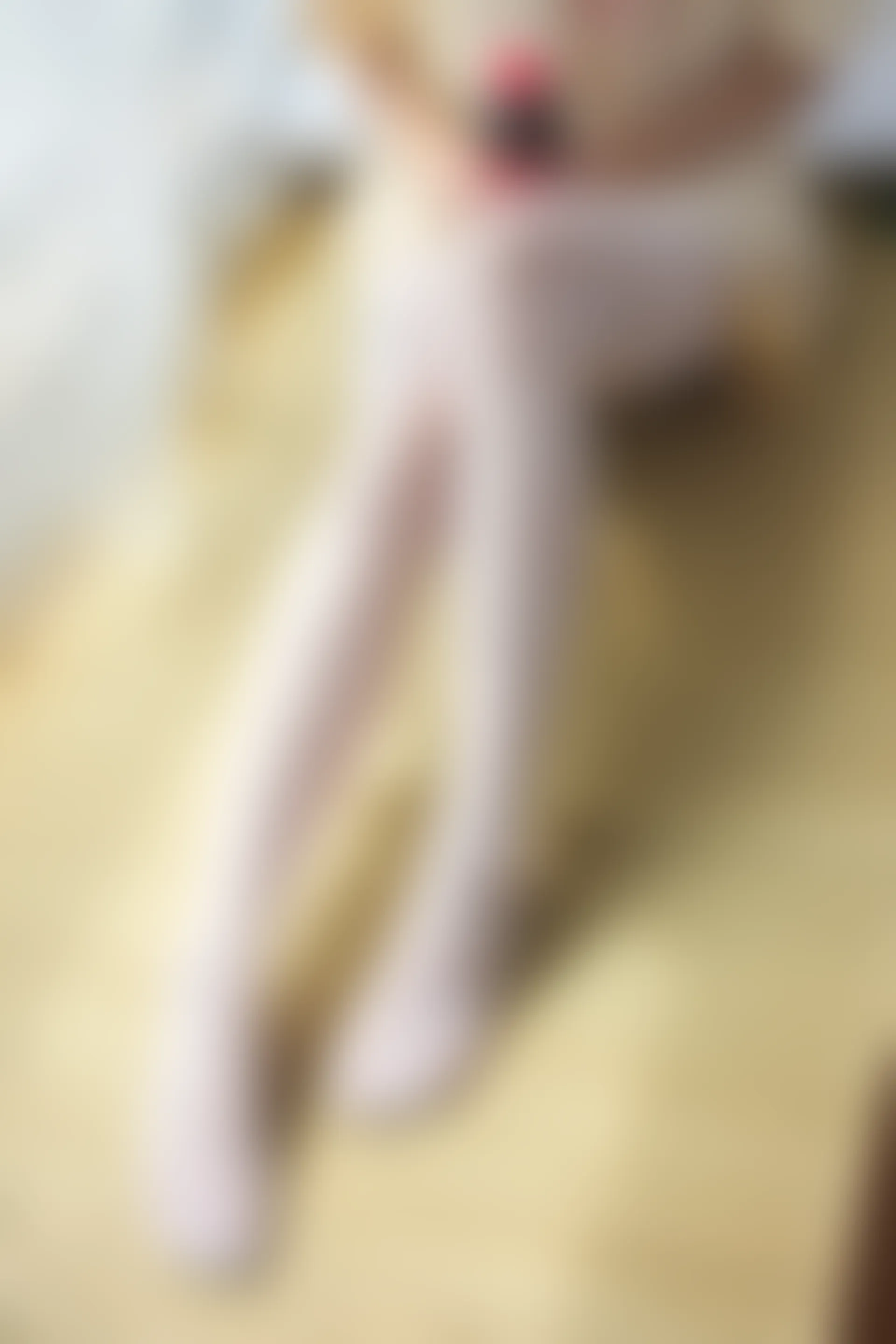 森萝财团 SSR-010 [88P-975M]家居服, 森萝财团, 白丝