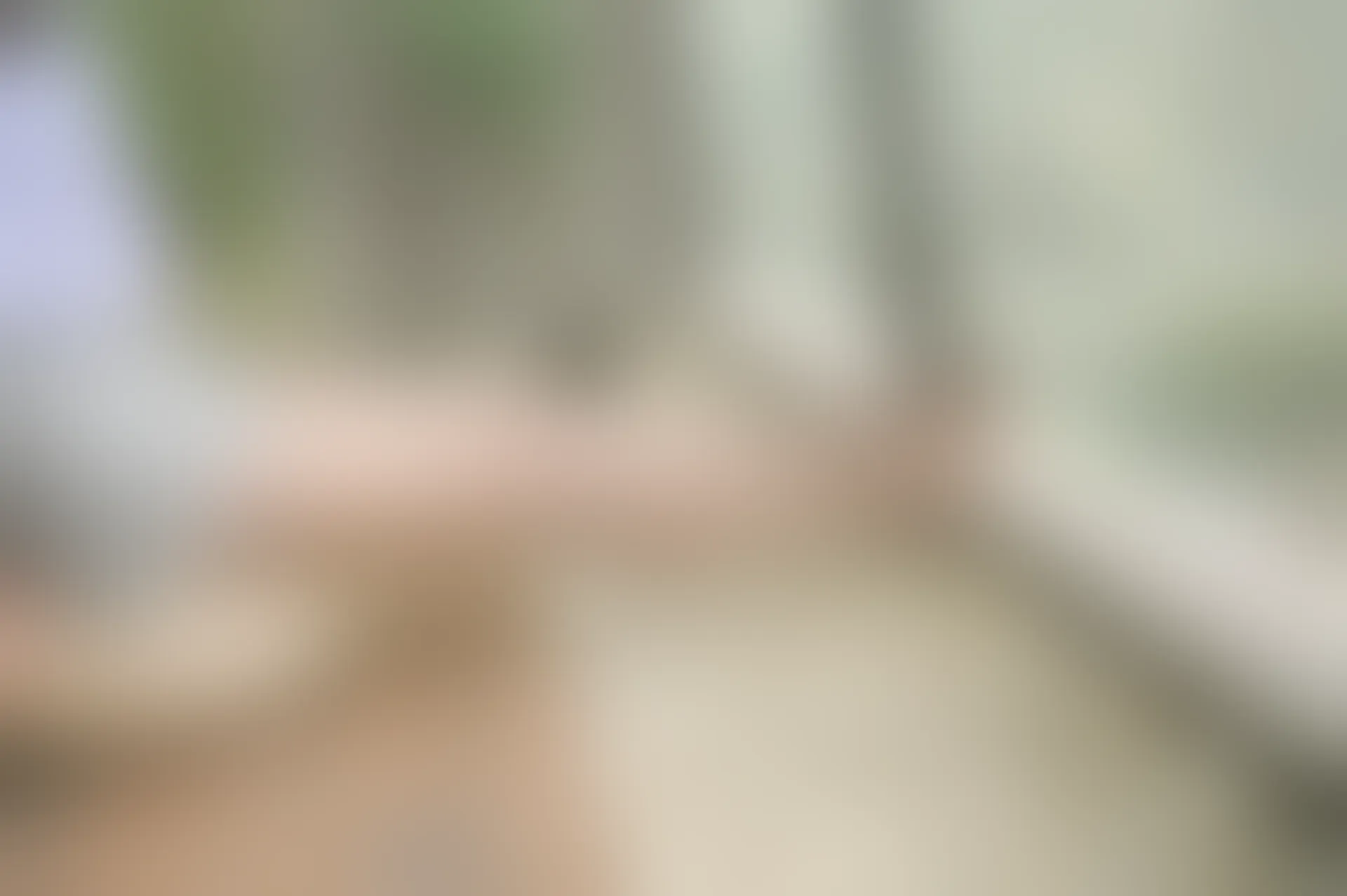 SSA丝社 超清写真 NO.103 丽萍 腿模丽萍，每个角度都有不一样的她[168P-1.26GB]
